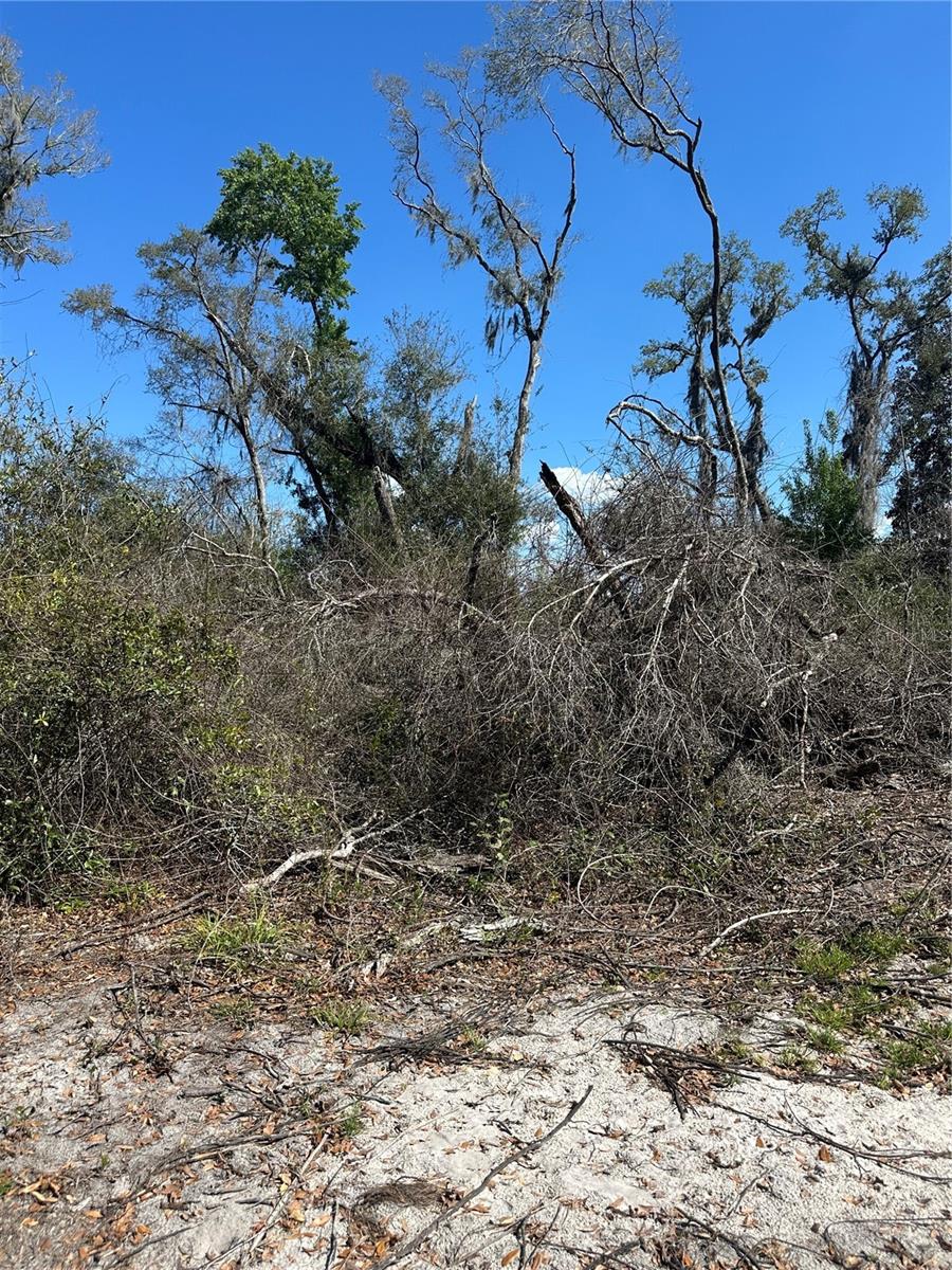 NE 688TH AVE, CROSS CITY, FL, 32628