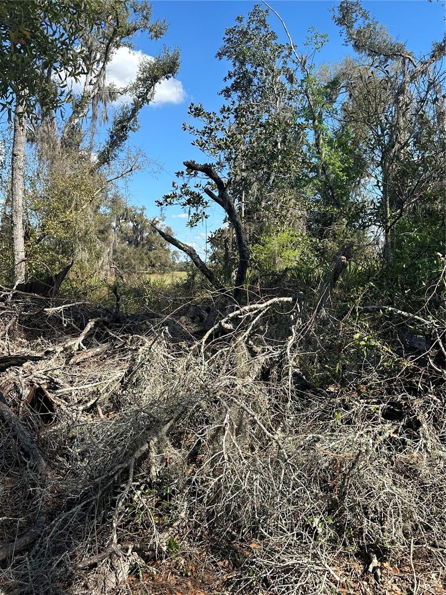 NE 688TH AVE, CROSS CITY, FL, 32628