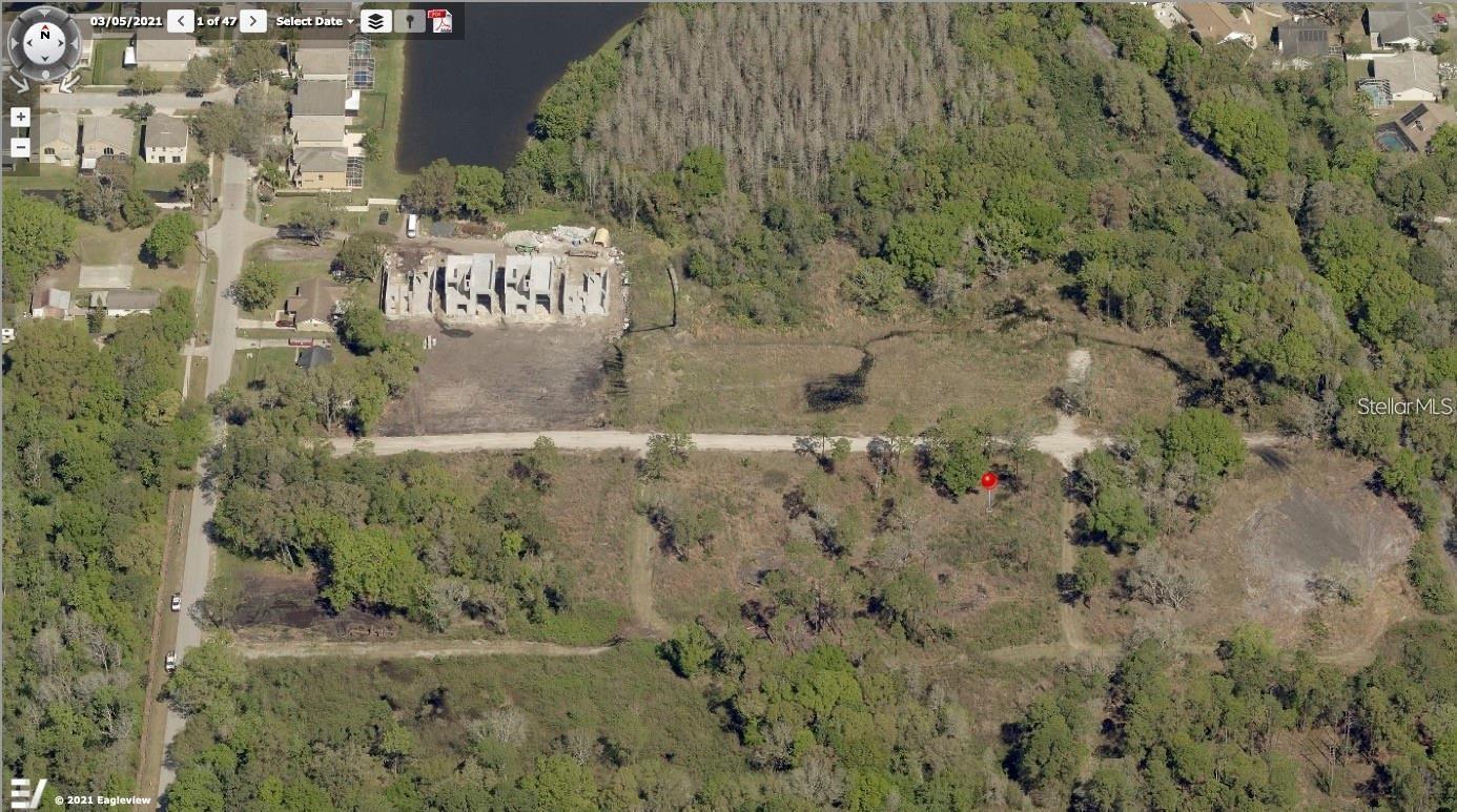 310 SKYTRAIL, TAMPA, FL, 33625