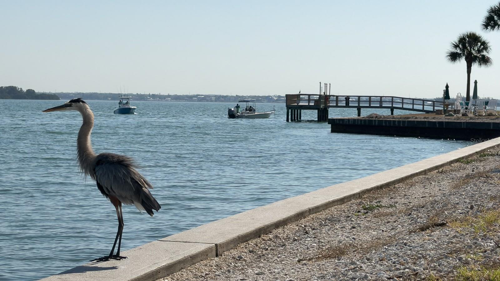 Well-designed outdoor amenities supporting both activity and leisure