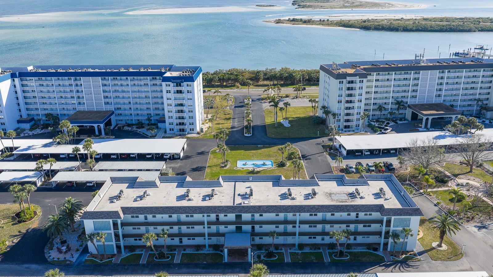 Perfect for exploring Honeymoon Island’s scenic coastline