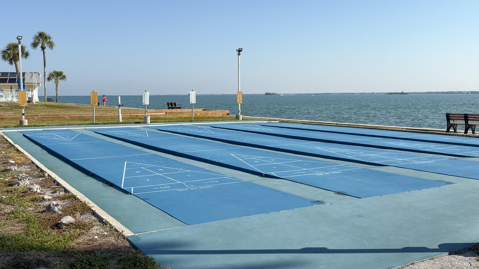 Vibrant landscaping enhancing the beauty of the entire community