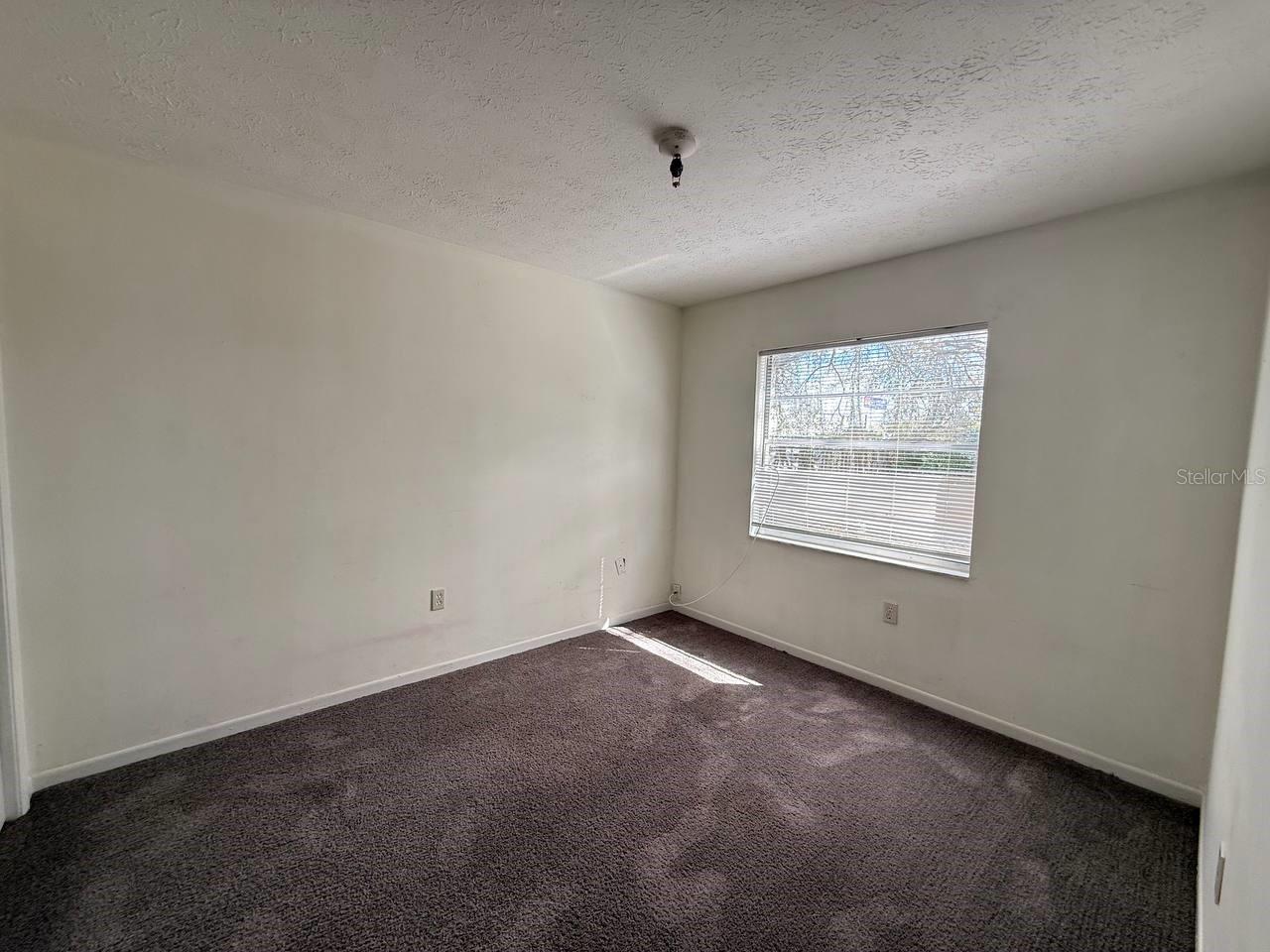 8505 N TAMPA ST #B, TAMPA, FL, 33604