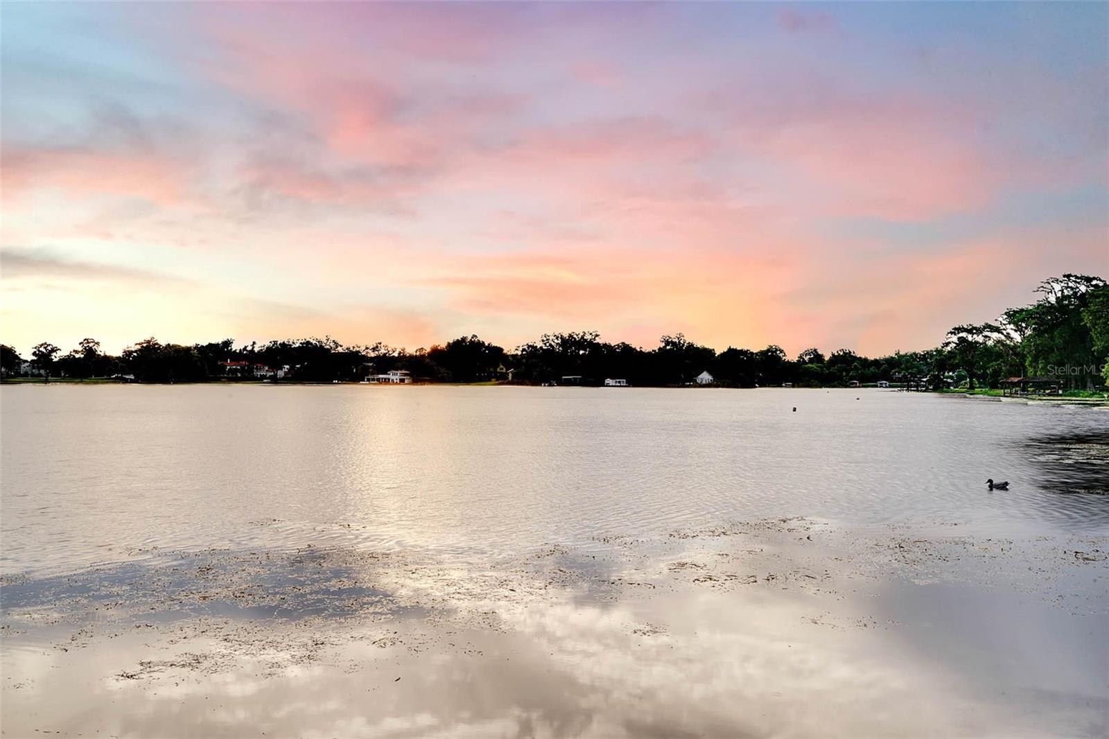 1705 ELIZABETHS WALK, WINTER PARK, FL, 32789