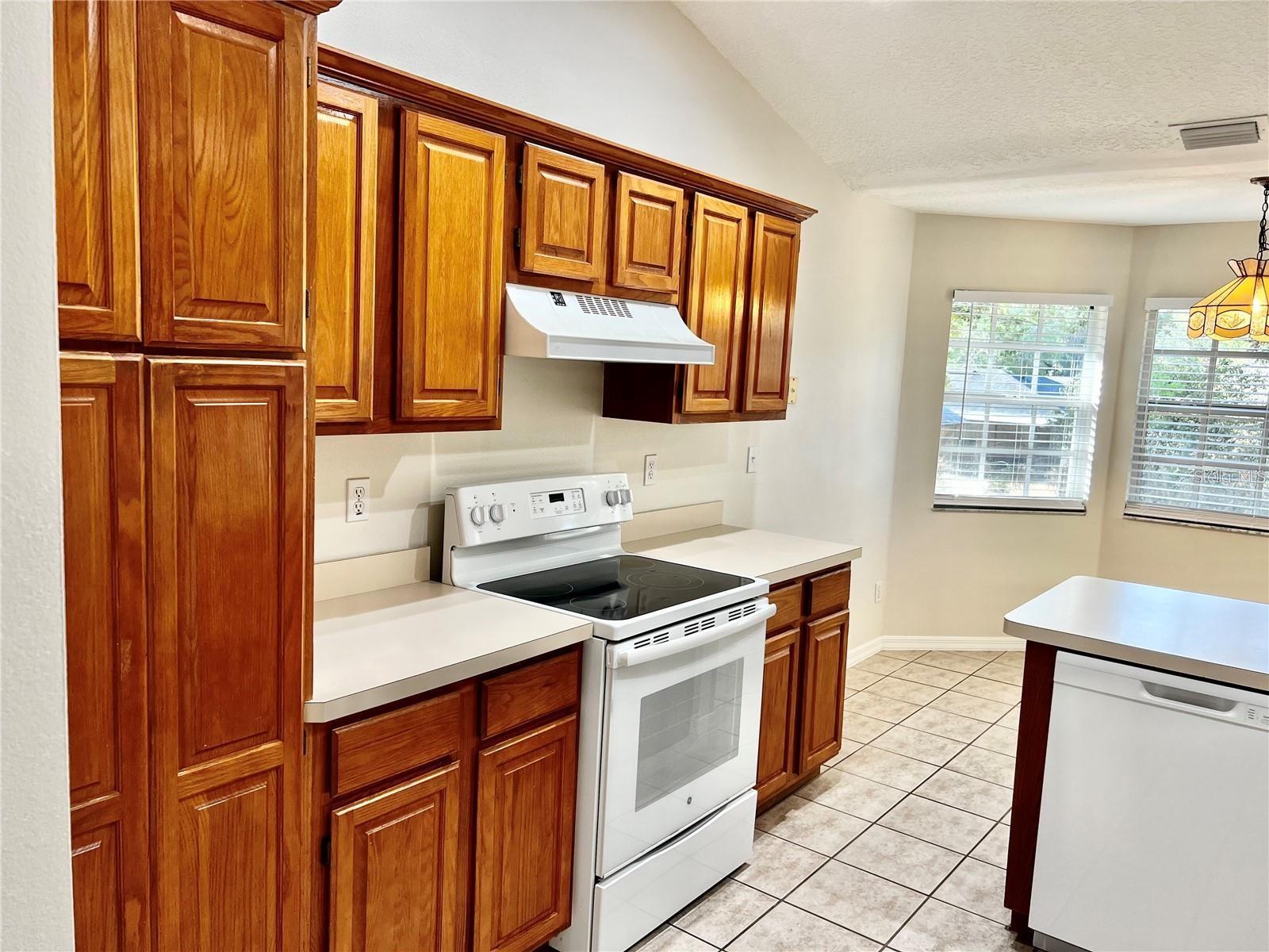 16216 HILLSIDE CIR, MONTVERDE, FL, 34756