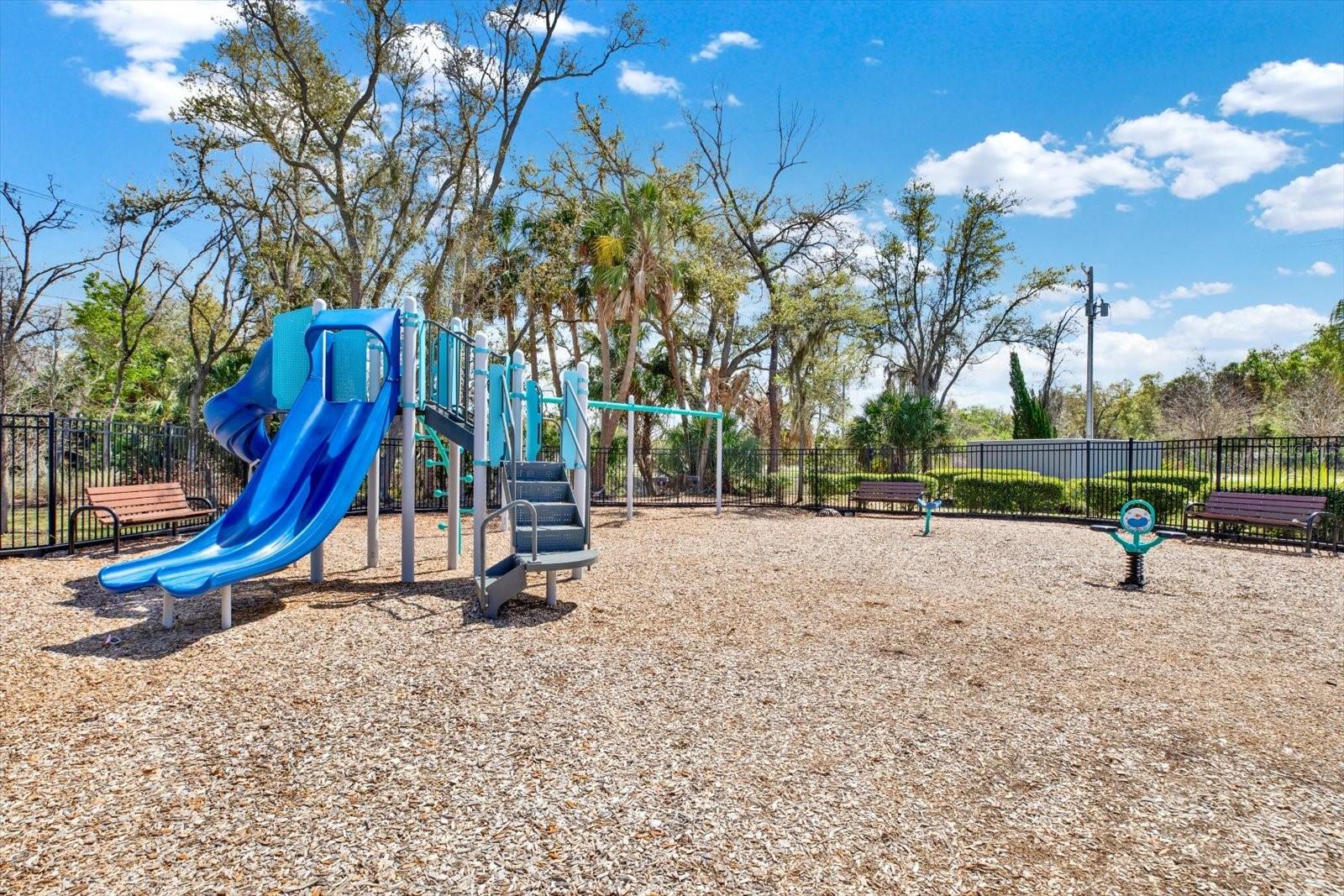 7217 BLUE BEECH DR, RIVERVIEW, FL, 33578