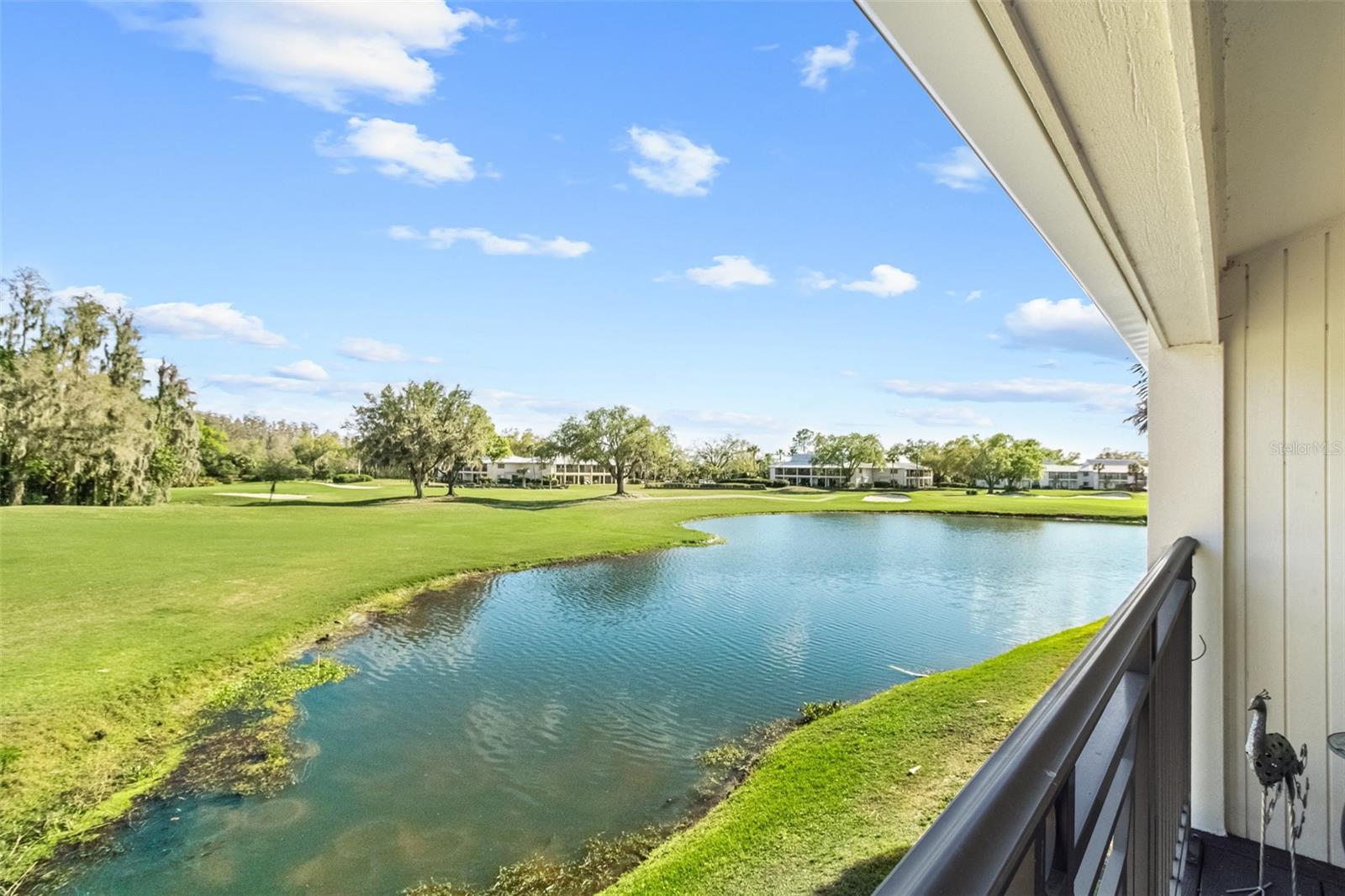 29300 BAY HOLLOW DR #3250, WESLEY CHAPEL, FL, 33543