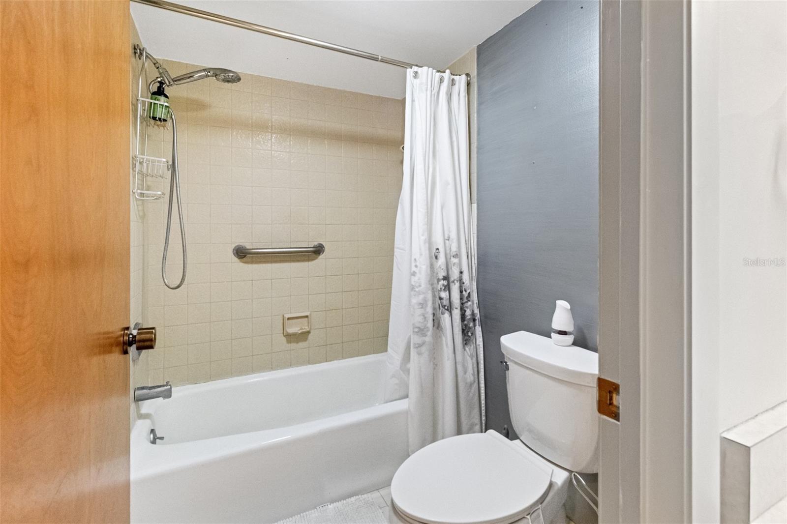 29300 BAY HOLLOW DR #3250, WESLEY CHAPEL, FL, 33543