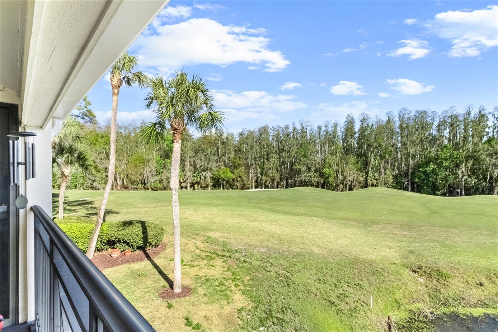 29300 BAY HOLLOW DR #3250, WESLEY CHAPEL, FL, 33543