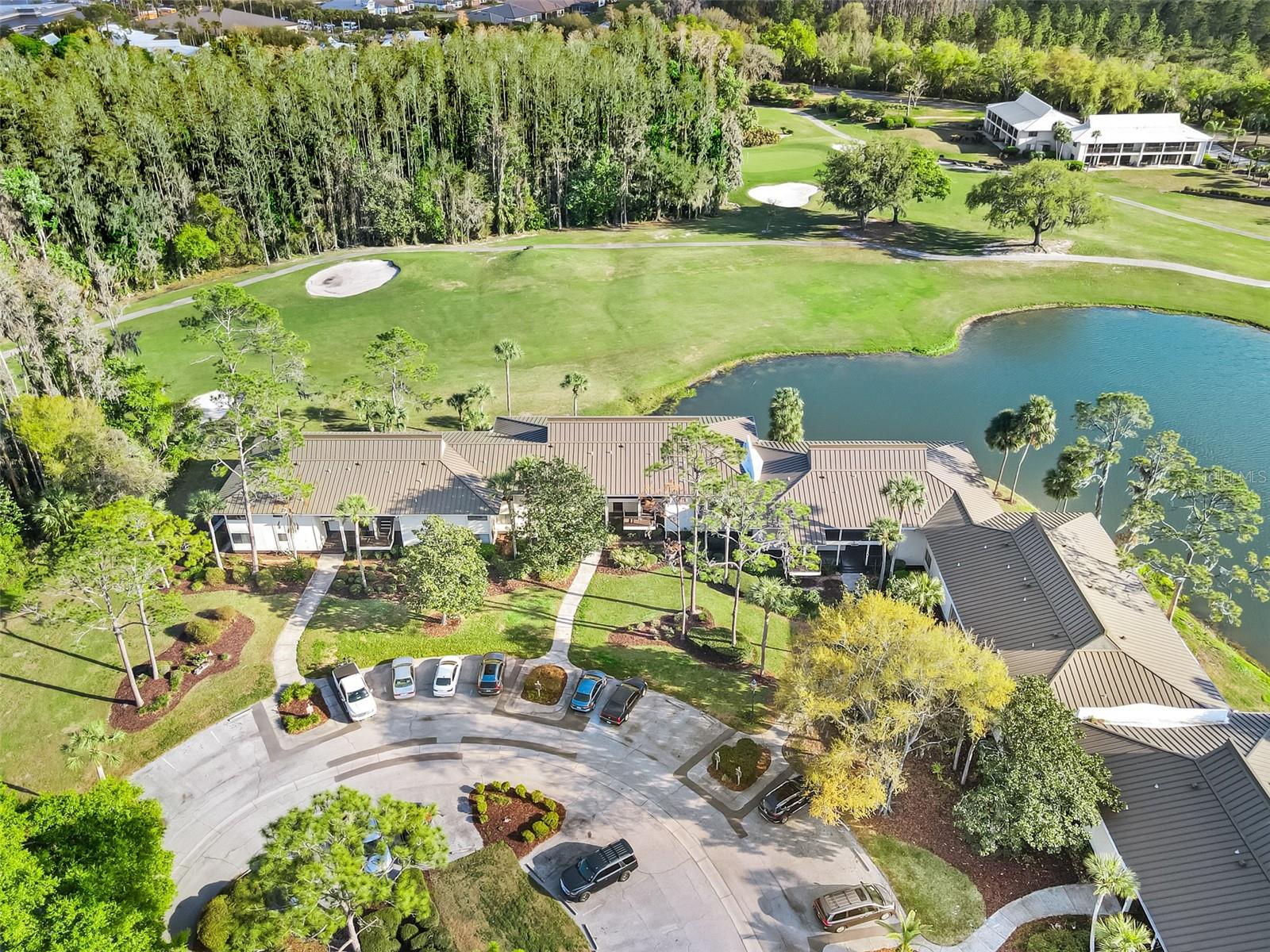 29300 BAY HOLLOW DR #3250, WESLEY CHAPEL, FL, 33543