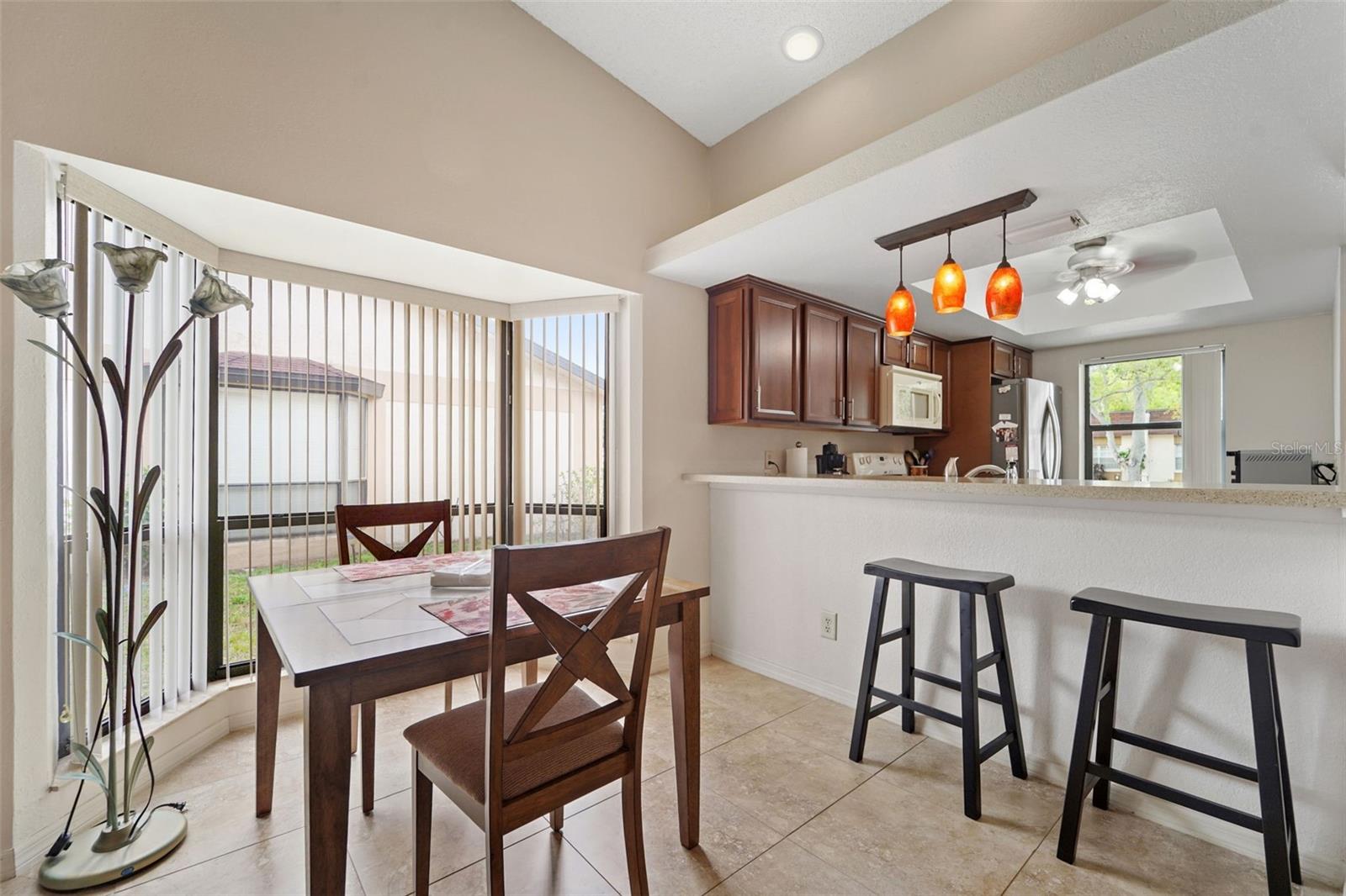 11511 113TH ST #21D, LARGO, FL, 33778