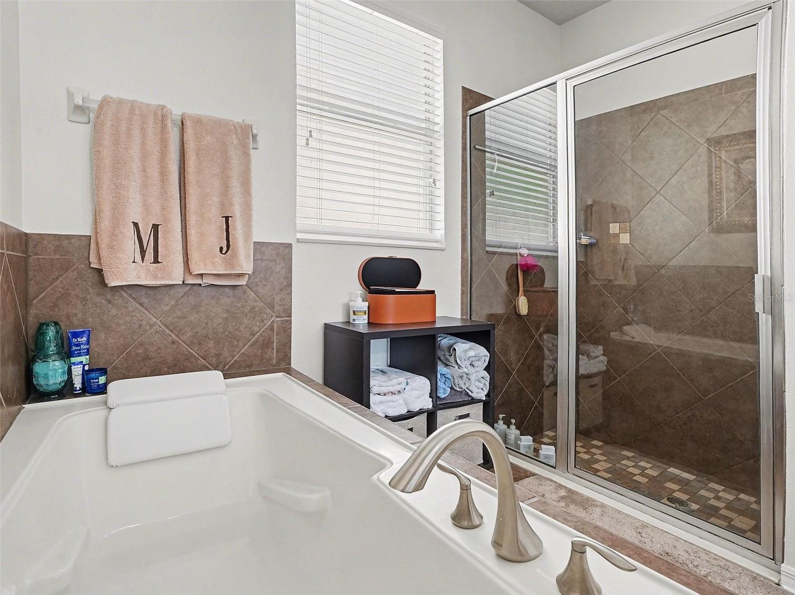 924 BELLA VIDA BLVD, ORLANDO, FL, 32828