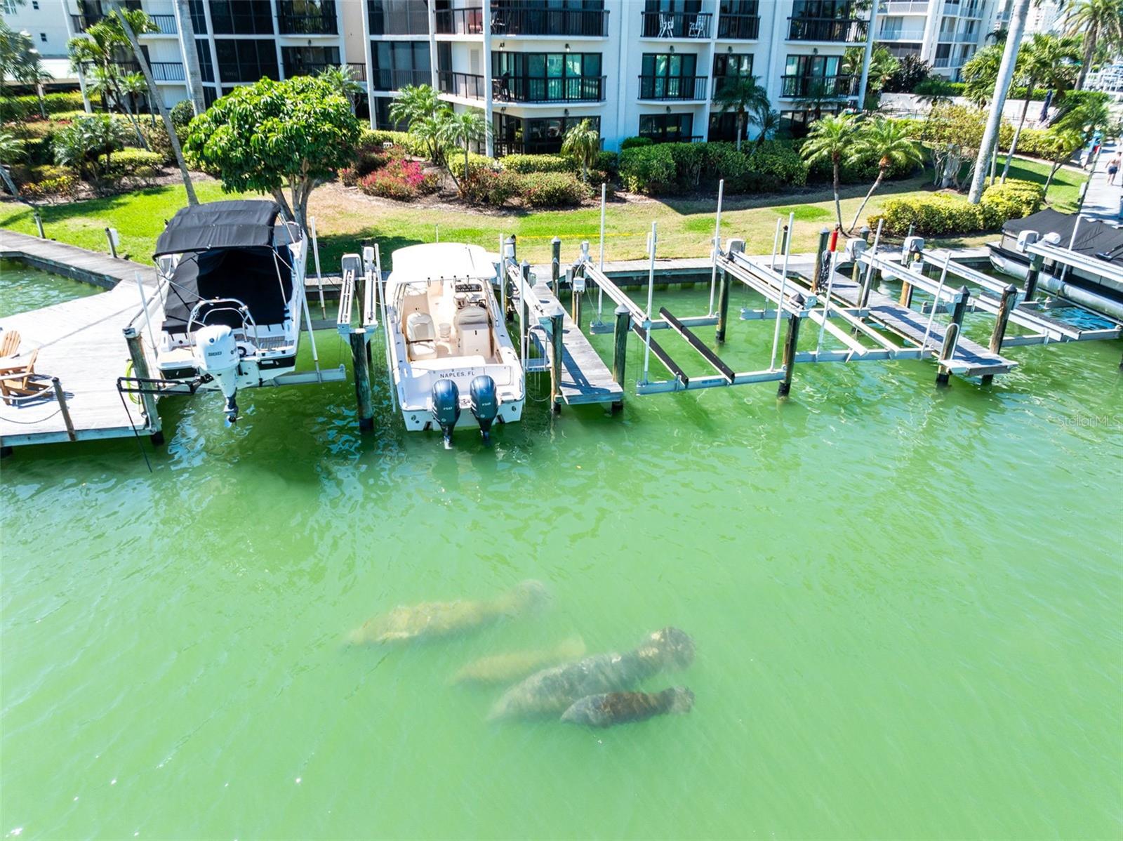 845 COLLIER CT #306, MARCO ISLAND, FL, 34145
