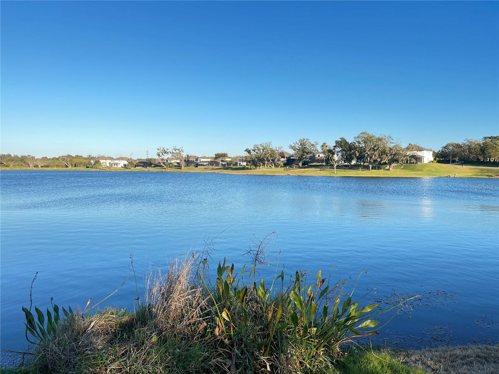 15195 LAKE CLAIRE OVERLOOK DR, WINTER GARDEN, FL, 34787