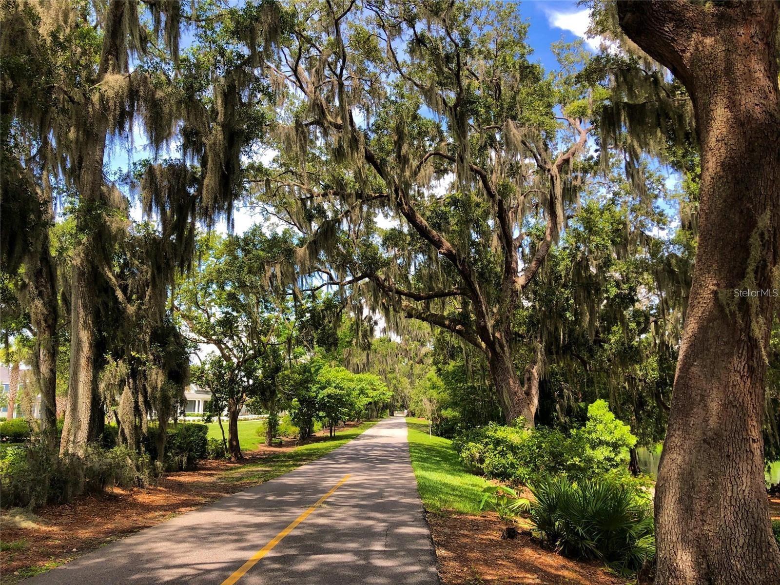 15195 LAKE CLAIRE OVERLOOK DR, WINTER GARDEN, FL, 34787