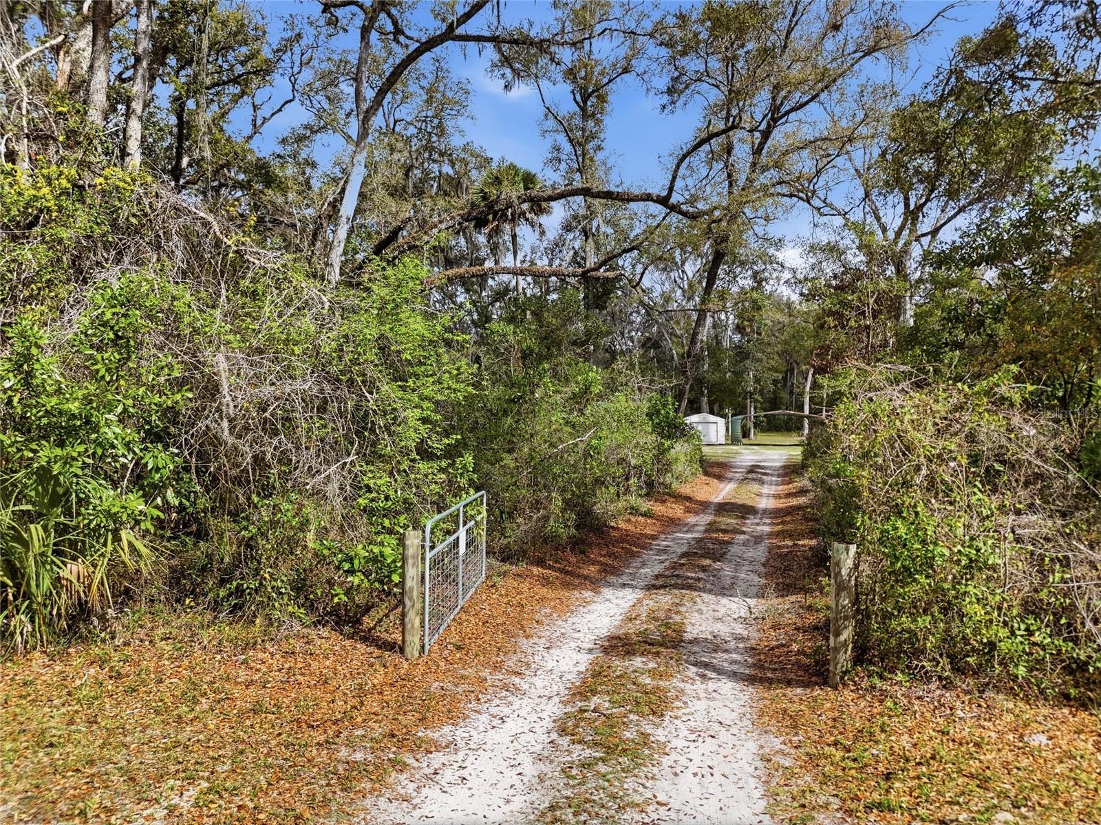 167 NE 212TH AVE, OLD TOWN, FL, 32680