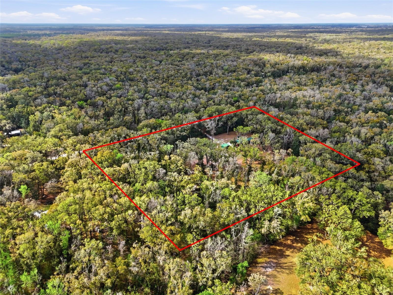 167 NE 212TH AVE, OLD TOWN, FL, 32680