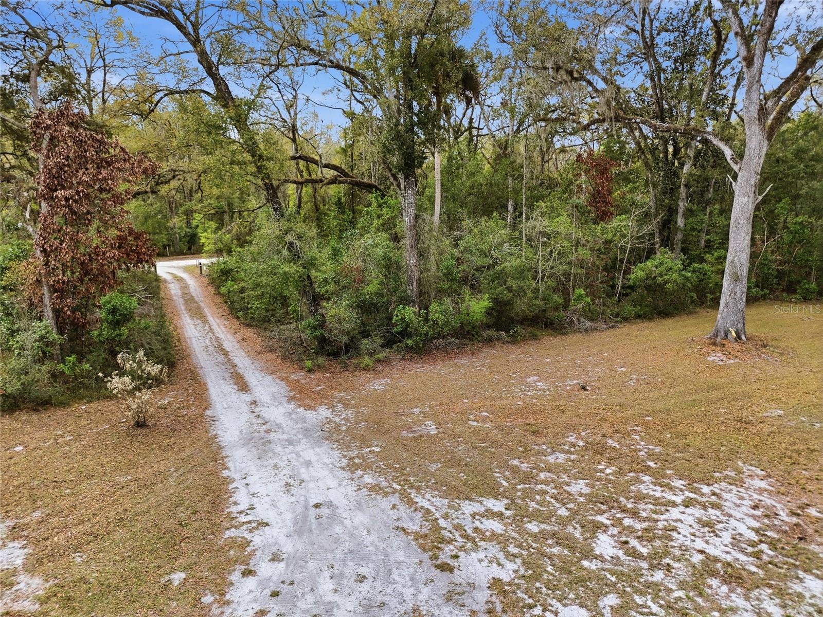 167 NE 212TH AVE, OLD TOWN, FL, 32680