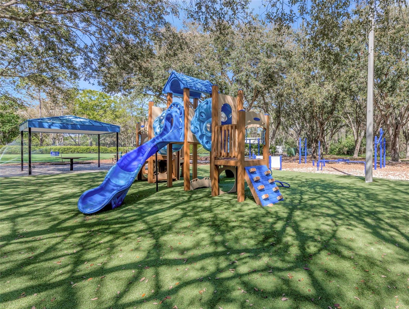 3687 JANUS WAY, PALM HARBOR, FL, 34685
