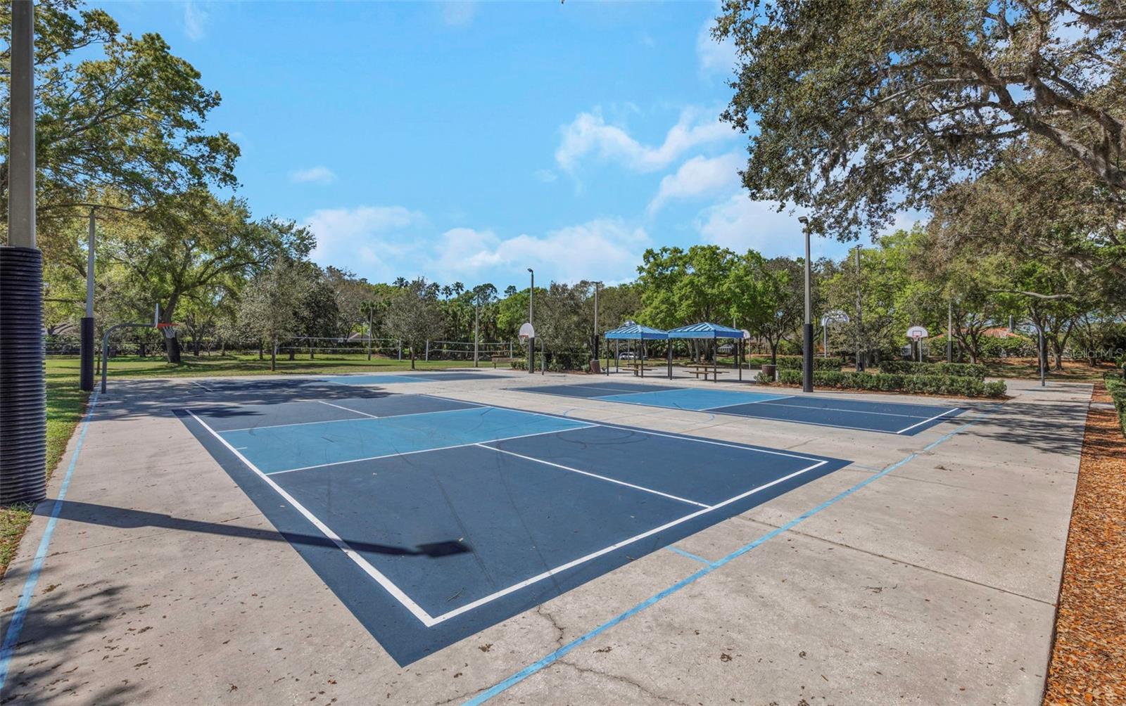 3687 JANUS WAY, PALM HARBOR, FL, 34685