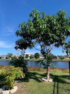 9975 BISHOP CREEK WAY, PUNTA GORDA, FL, 33950