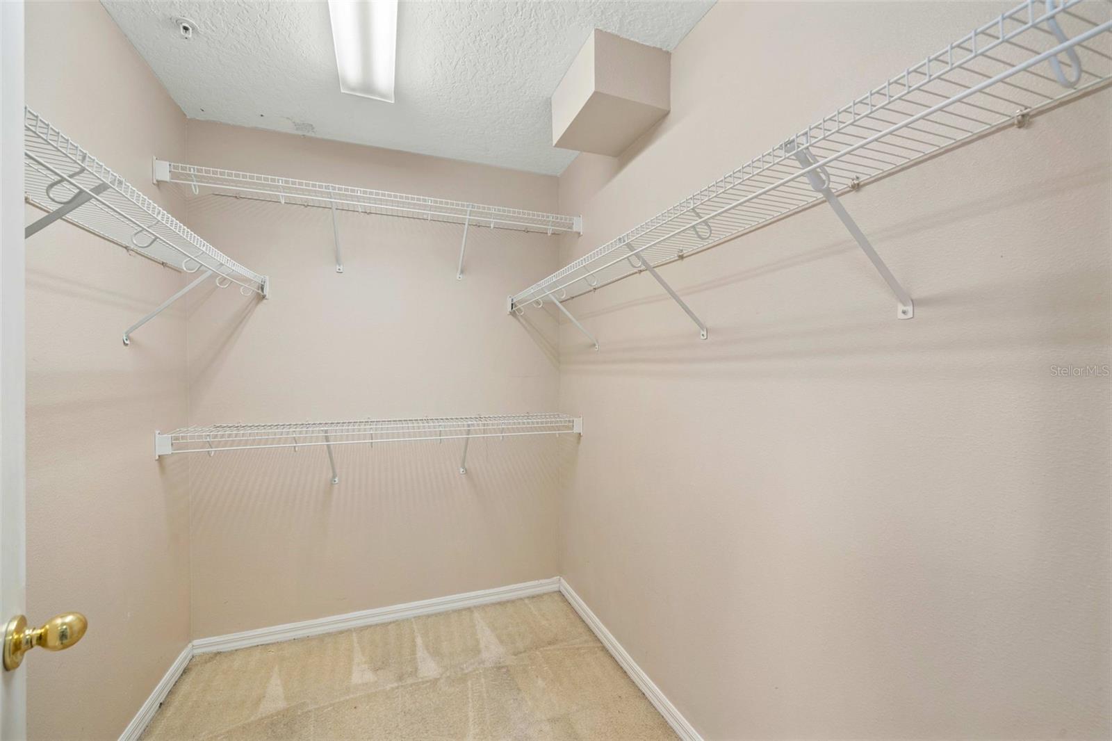 9434 SILVER BUTTONWOOD ST, ORLANDO, FL, 32832