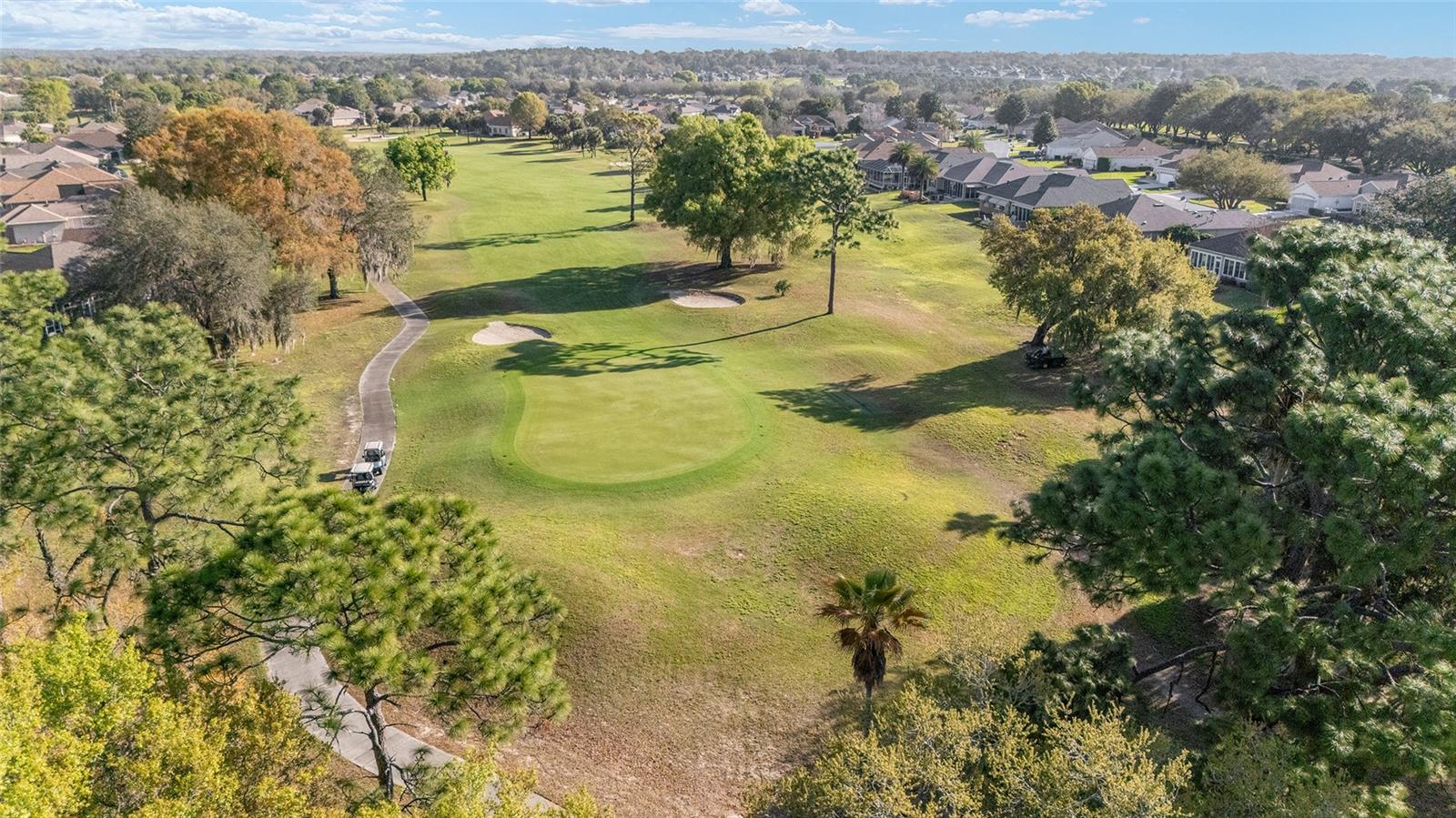 8723 SE 130TH LOOP, SUMMERFIELD, FL, 34491