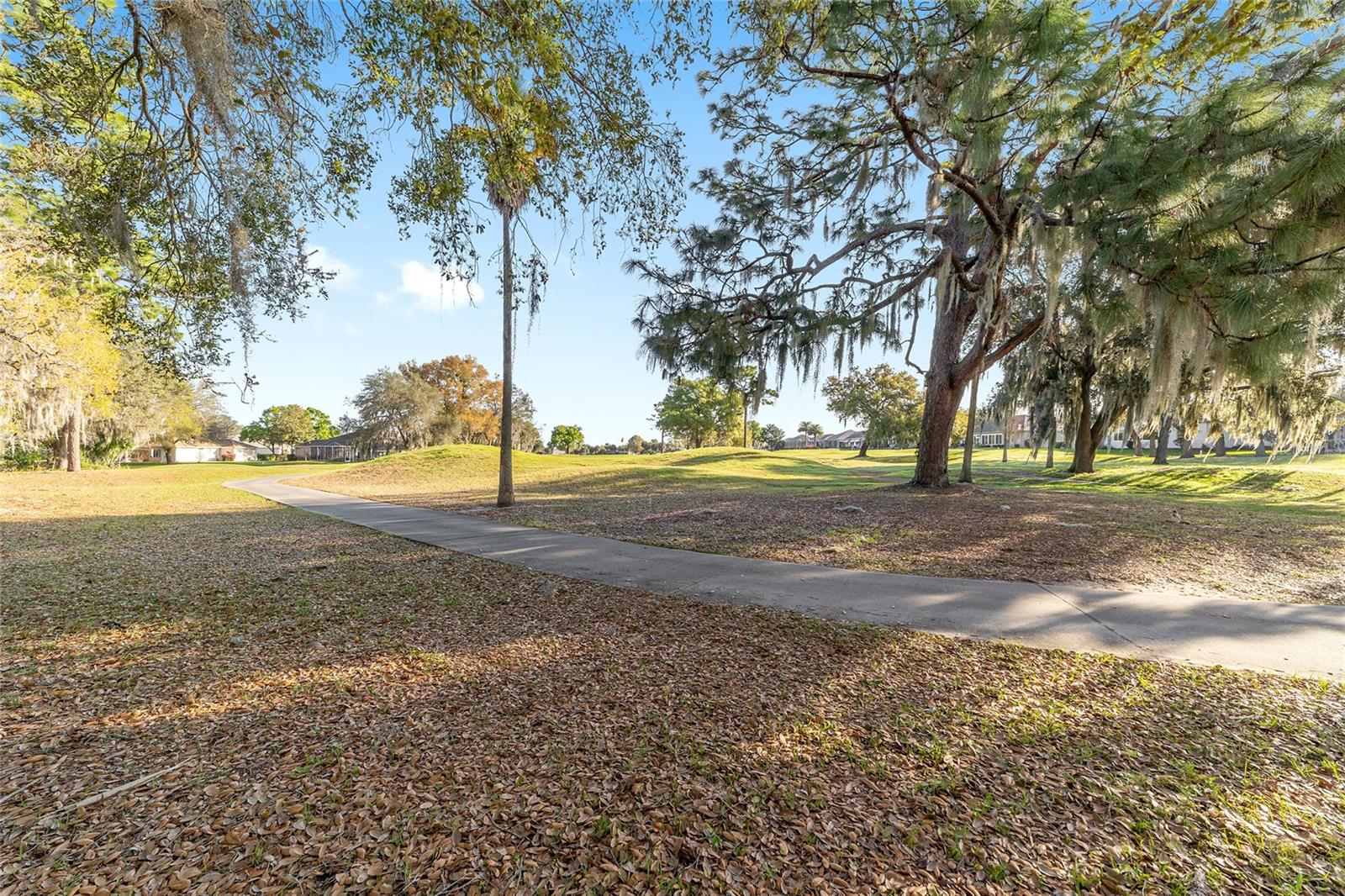 8723 SE 130TH LOOP, SUMMERFIELD, FL, 34491