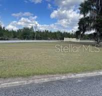 100 SIESTA CIR, WELAKA, FL, 32193