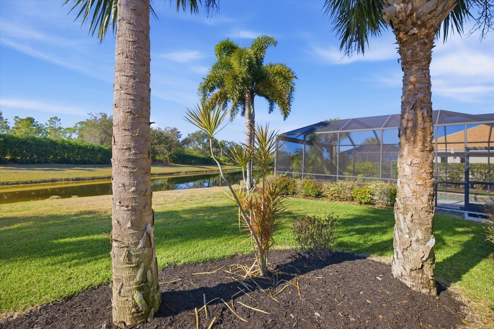 134 MEDICI TERRACE TER, NORTH VENICE, FL, 34275