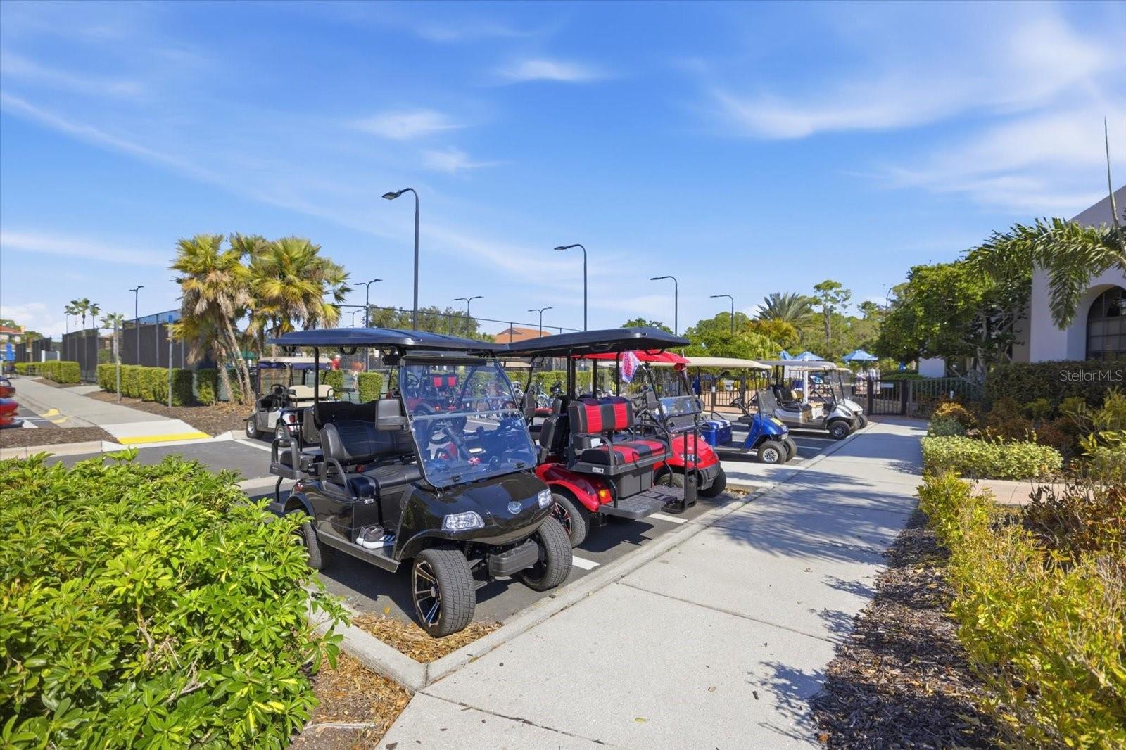 134 MEDICI TERRACE TER, NORTH VENICE, FL, 34275