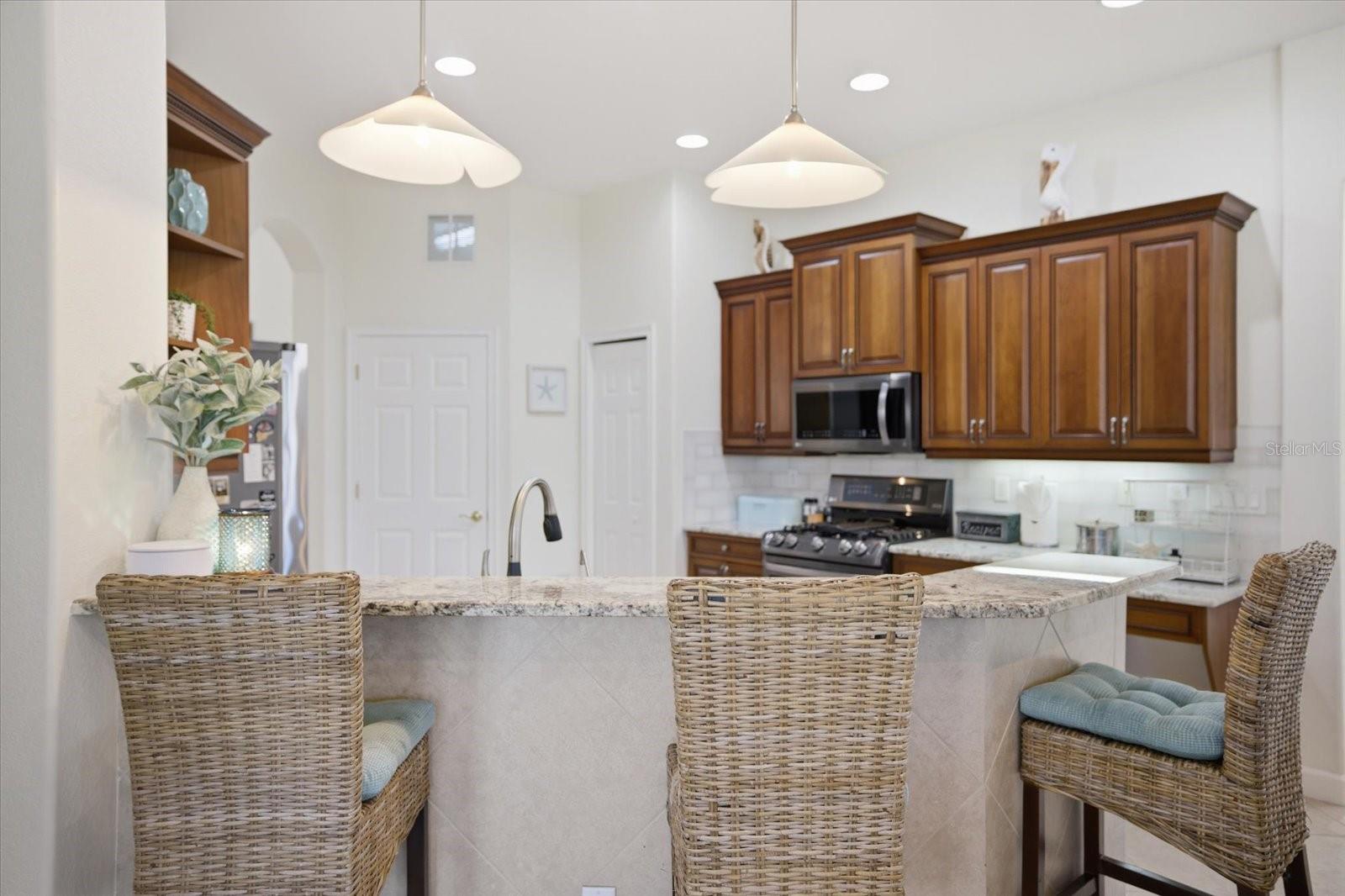 134 MEDICI TERRACE TER, NORTH VENICE, FL, 34275