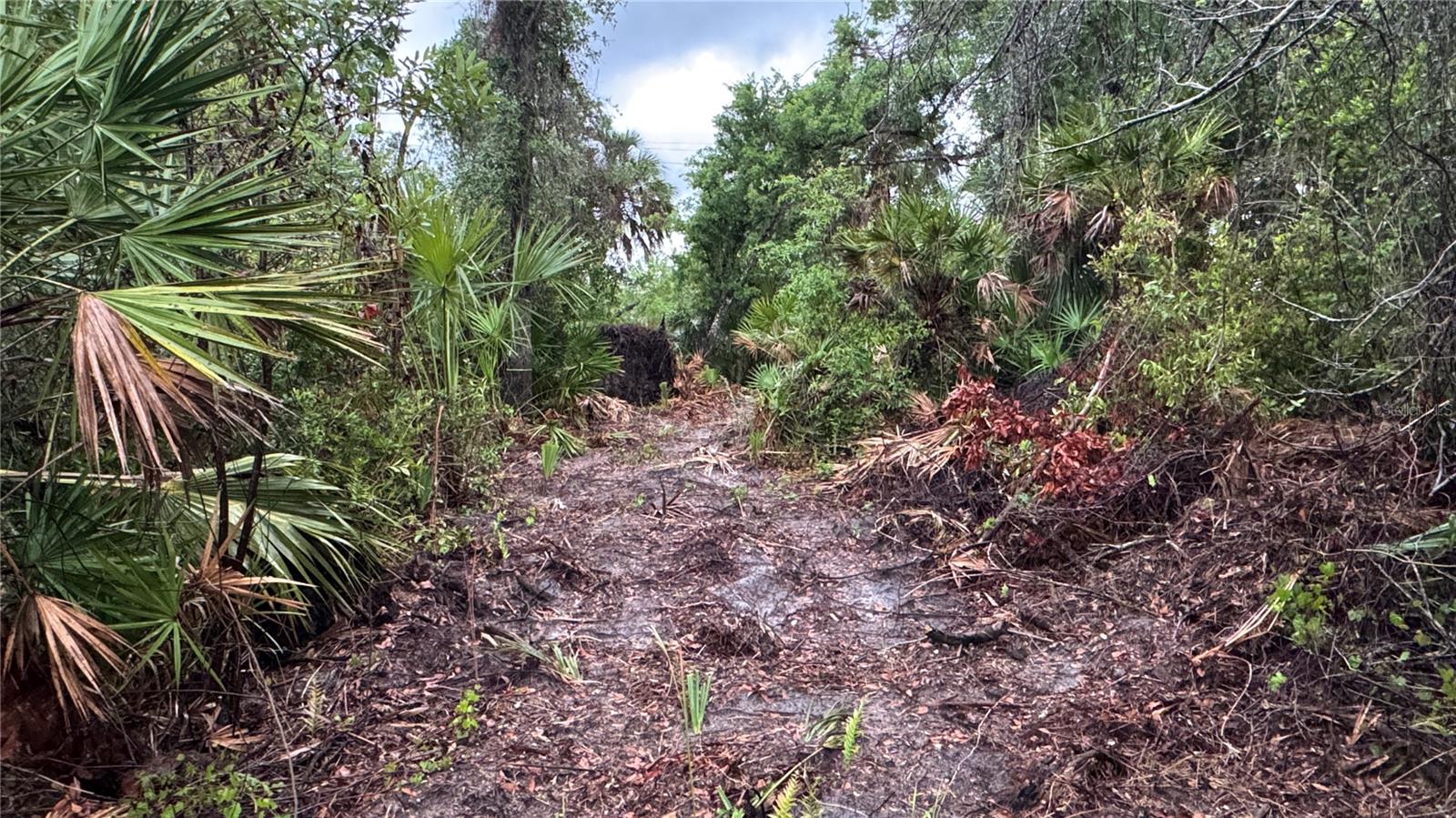 12817 UPPER MANATEE RIVER RD, BRADENTON, FL, 34212
