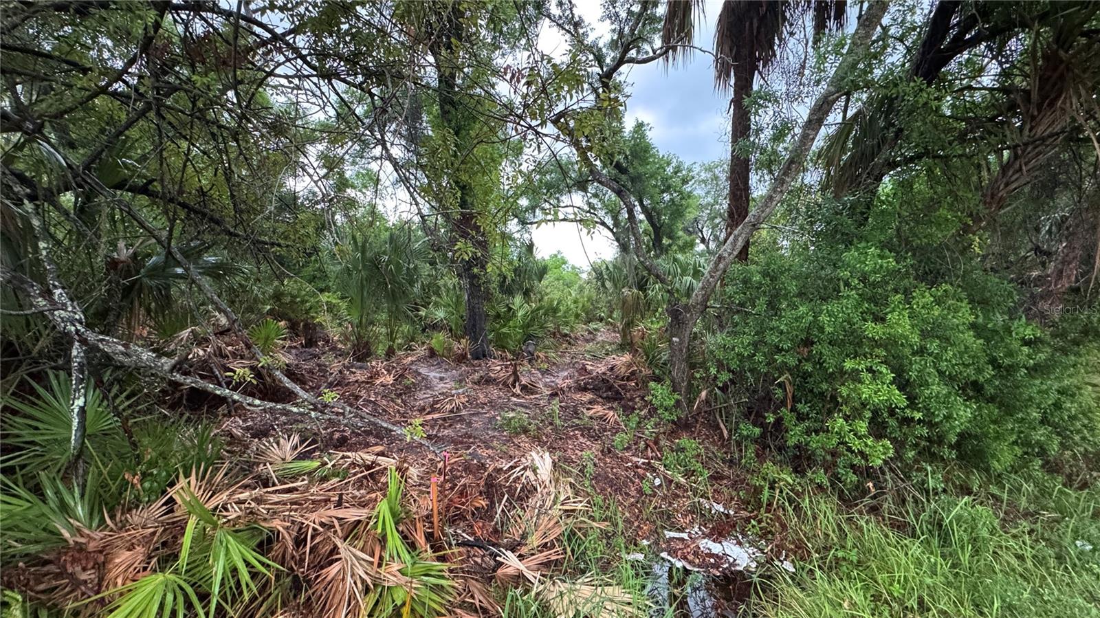 12817 UPPER MANATEE RIVER RD, BRADENTON, FL, 34212