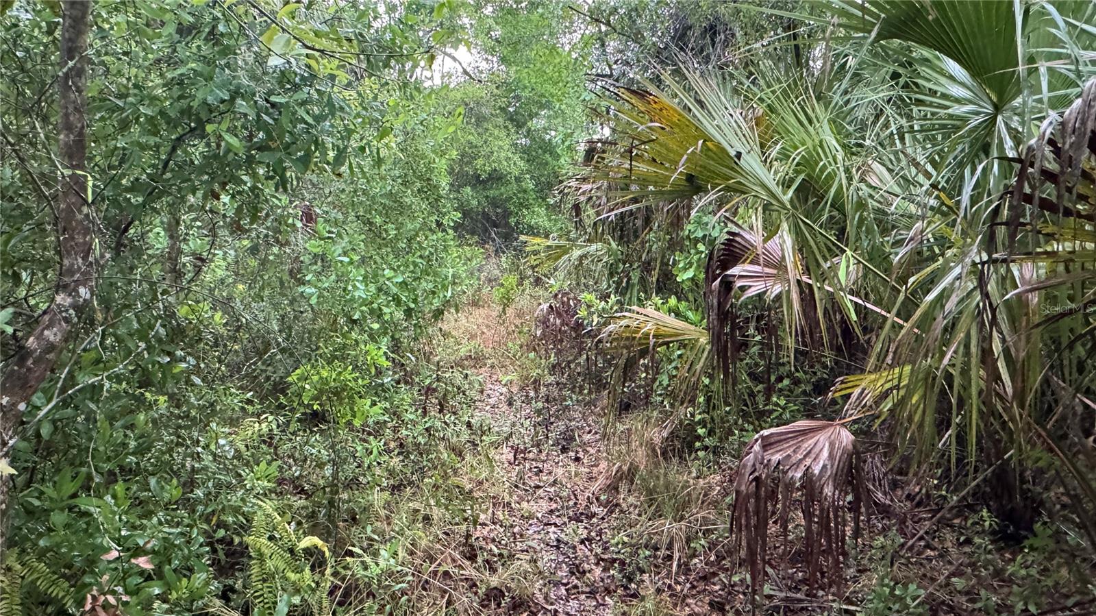 12817 UPPER MANATEE RIVER RD, BRADENTON, FL, 34212
