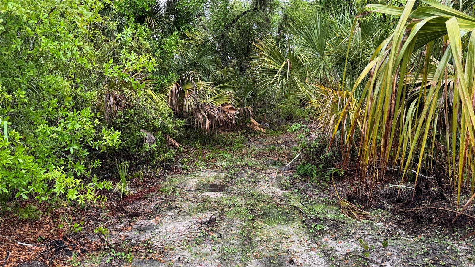 12817 UPPER MANATEE RIVER RD, BRADENTON, FL, 34212