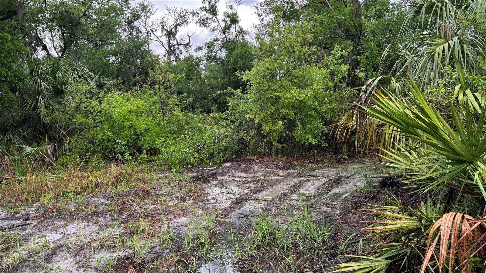 12817 UPPER MANATEE RIVER RD, BRADENTON, FL, 34212