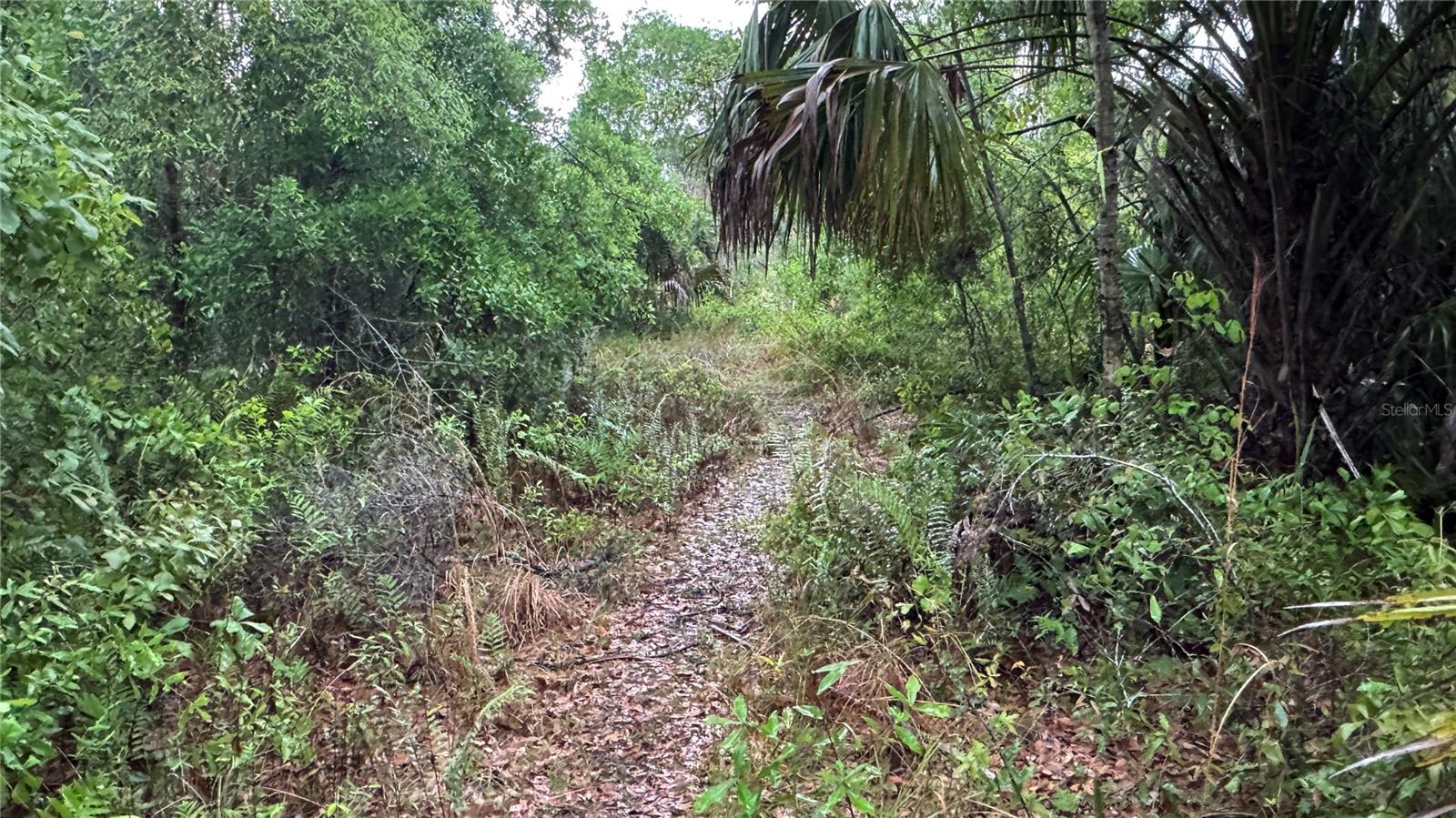 12817 UPPER MANATEE RIVER RD, BRADENTON, FL, 34212