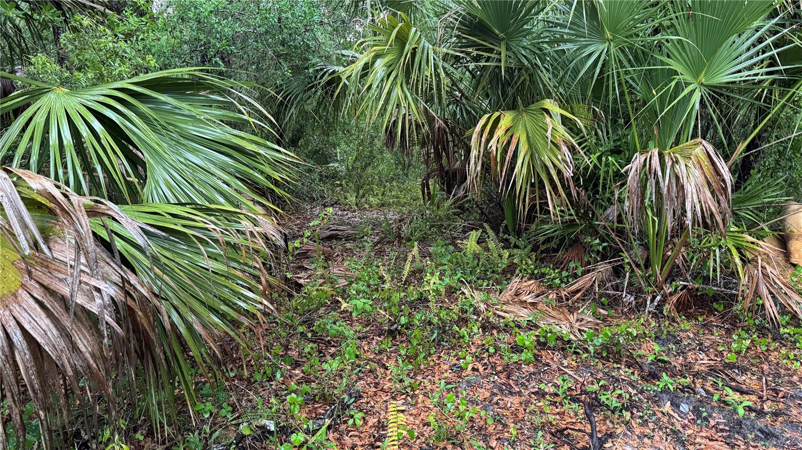12817 UPPER MANATEE RIVER RD, BRADENTON, FL, 34212