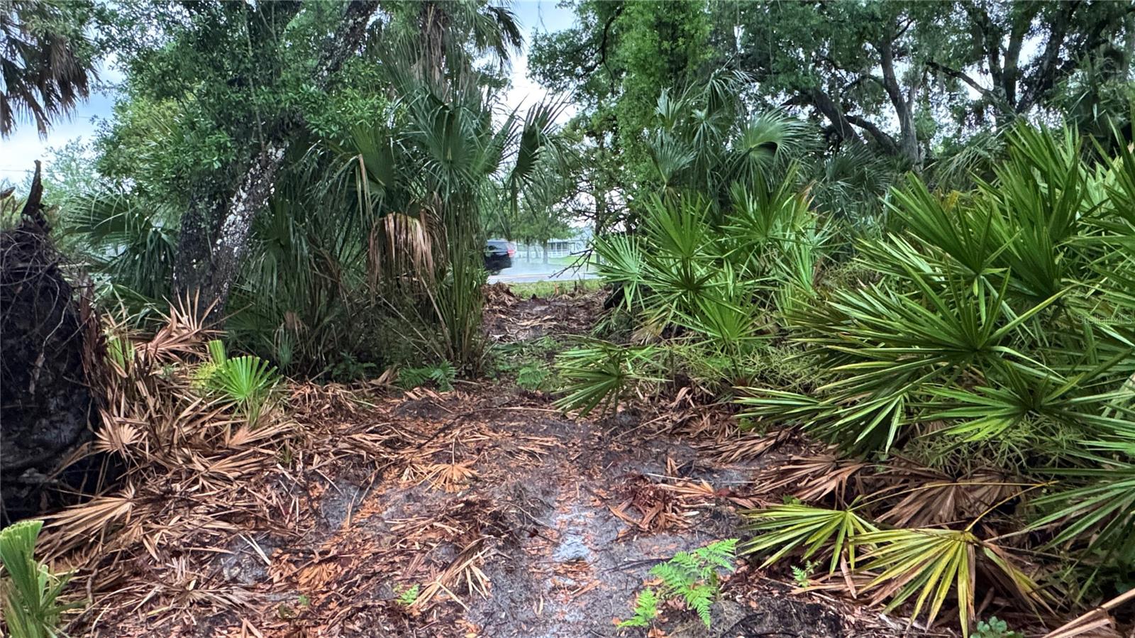 12817 UPPER MANATEE RIVER RD, BRADENTON, FL, 34212