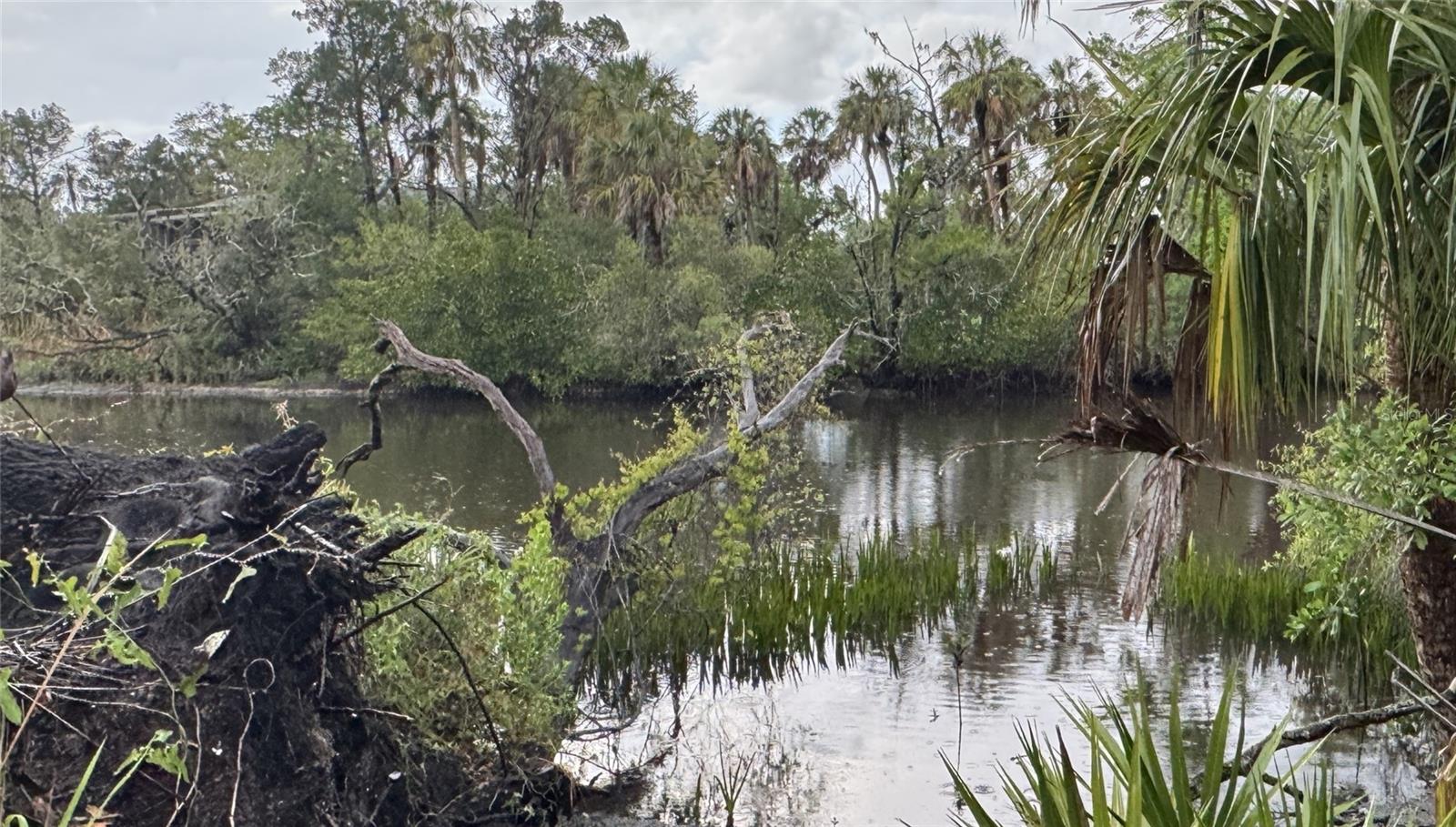 12817 UPPER MANATEE RIVER RD, BRADENTON, FL, 34212