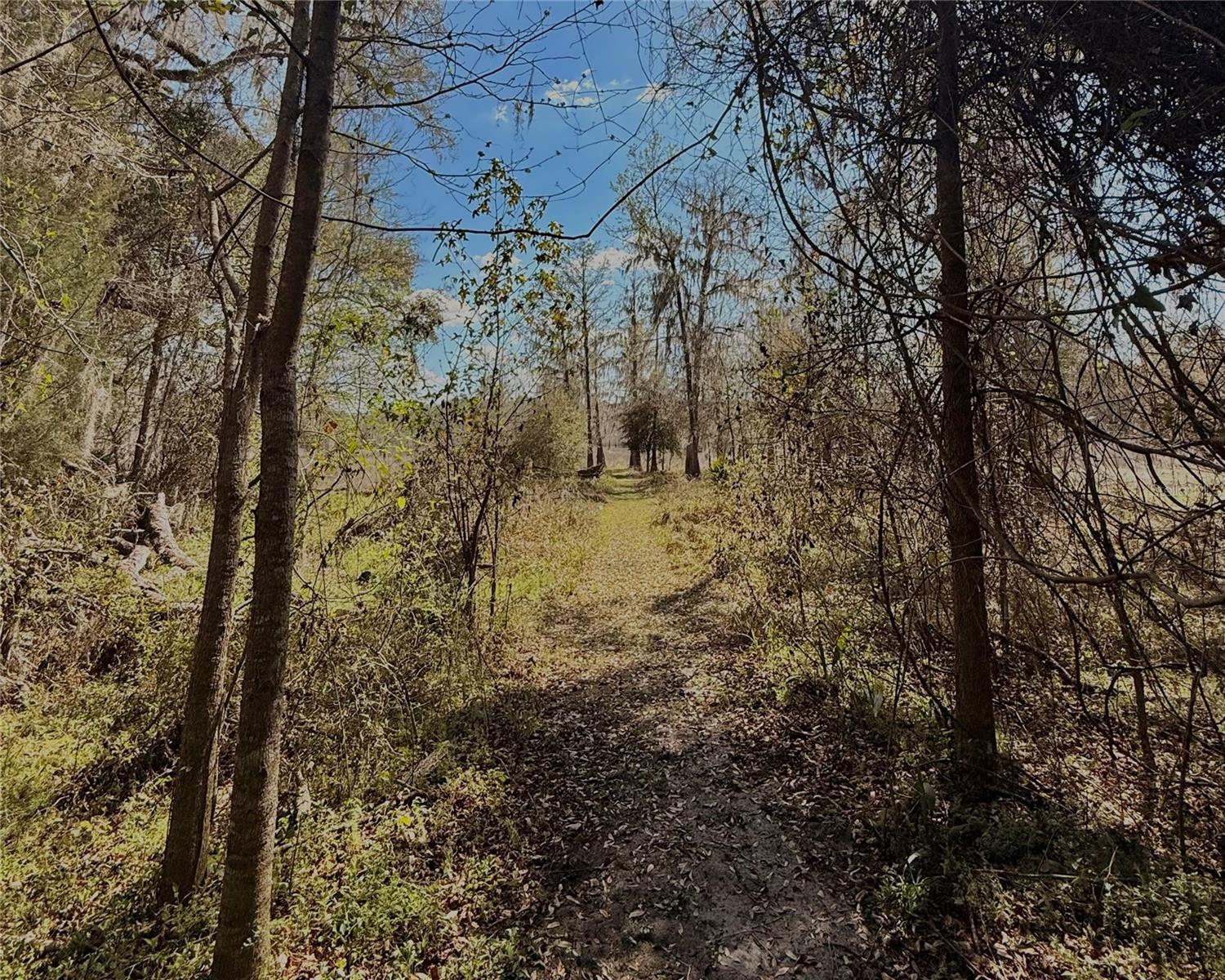 3425 NW 156TH AVE, GAINESVILLE, FL, 32609