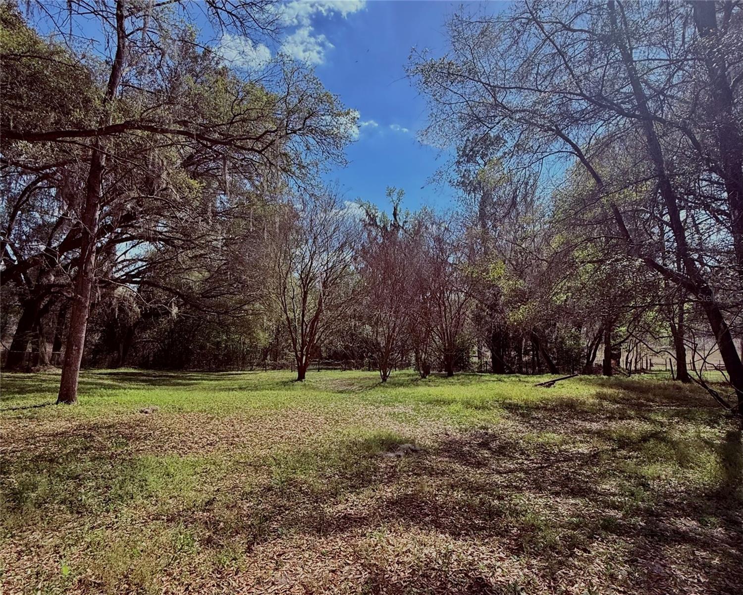 3425 NW 156TH AVE, GAINESVILLE, FL, 32609