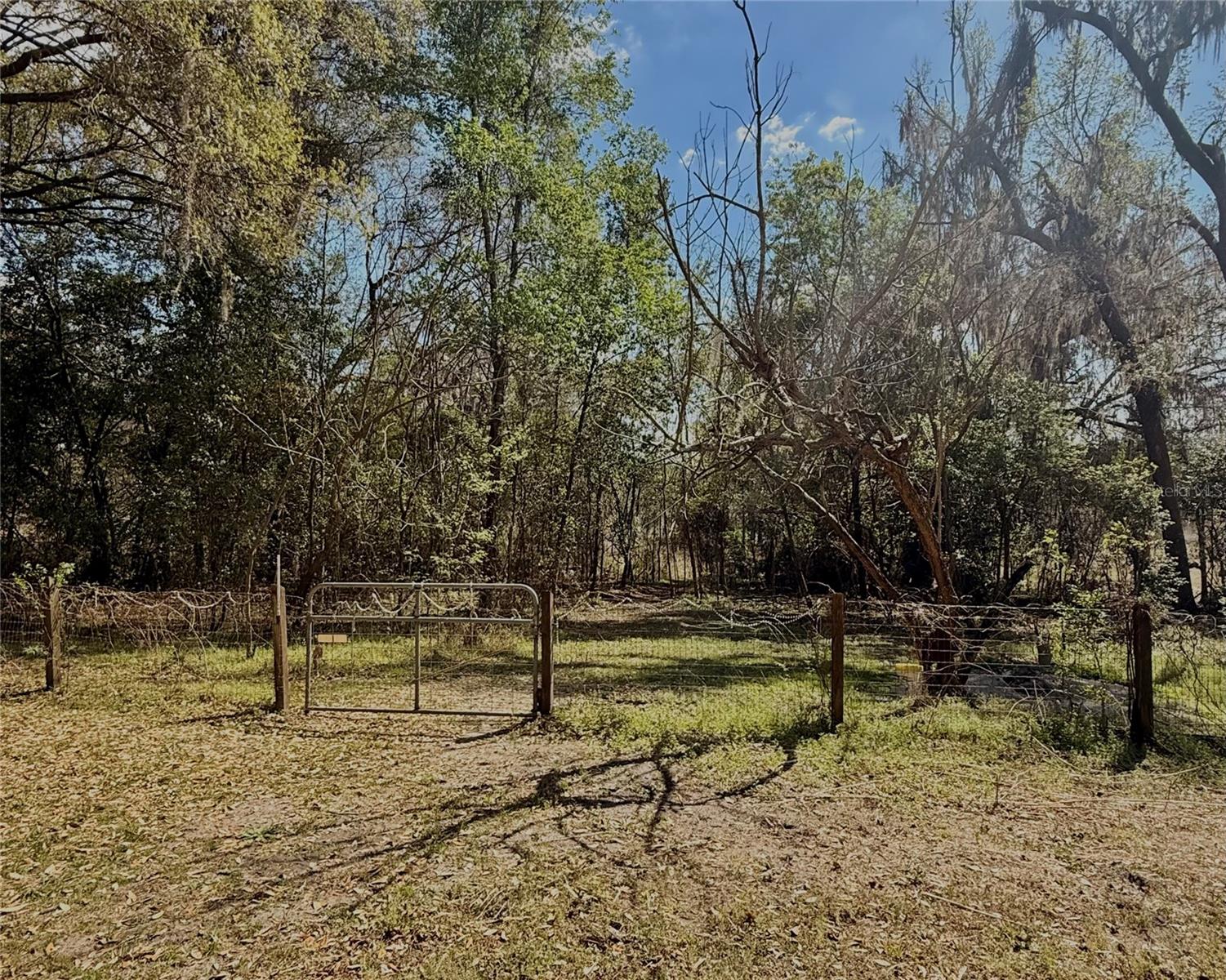 3425 NW 156TH AVE, GAINESVILLE, FL, 32609