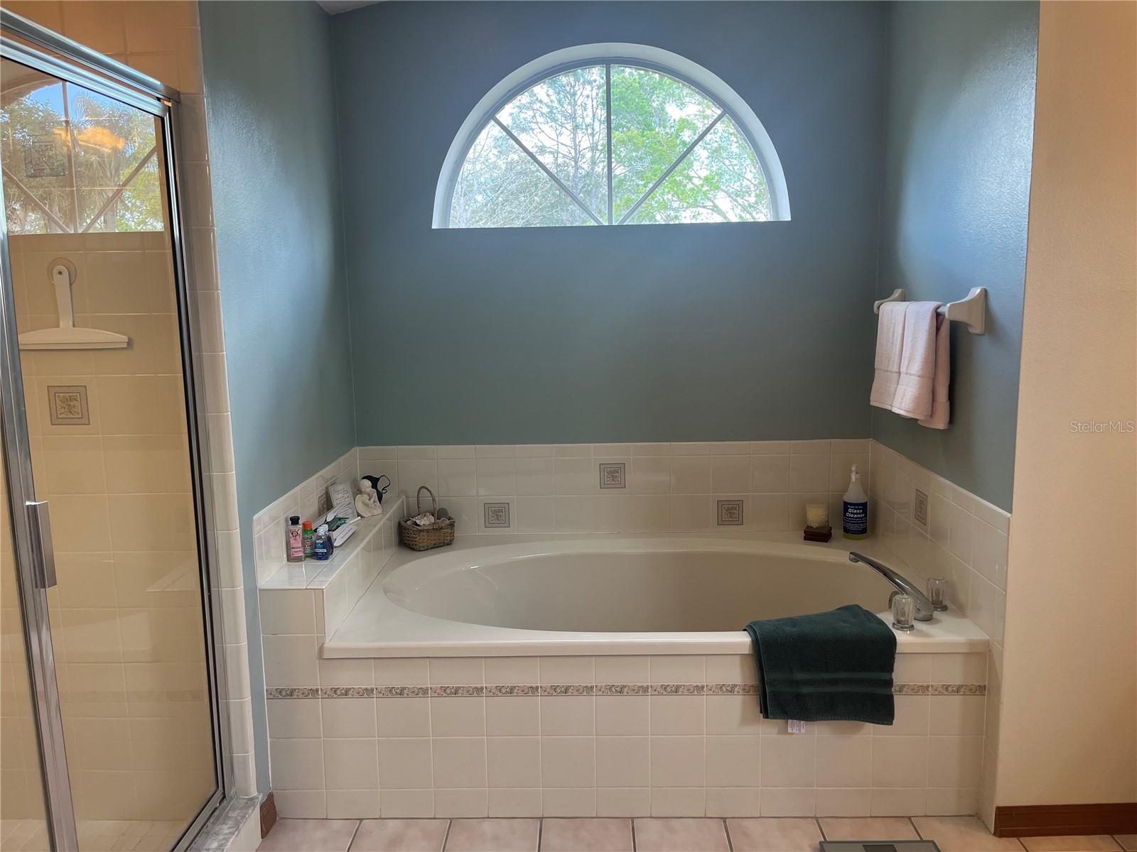 3796 CLINT CT, ST CLOUD, FL, 34772