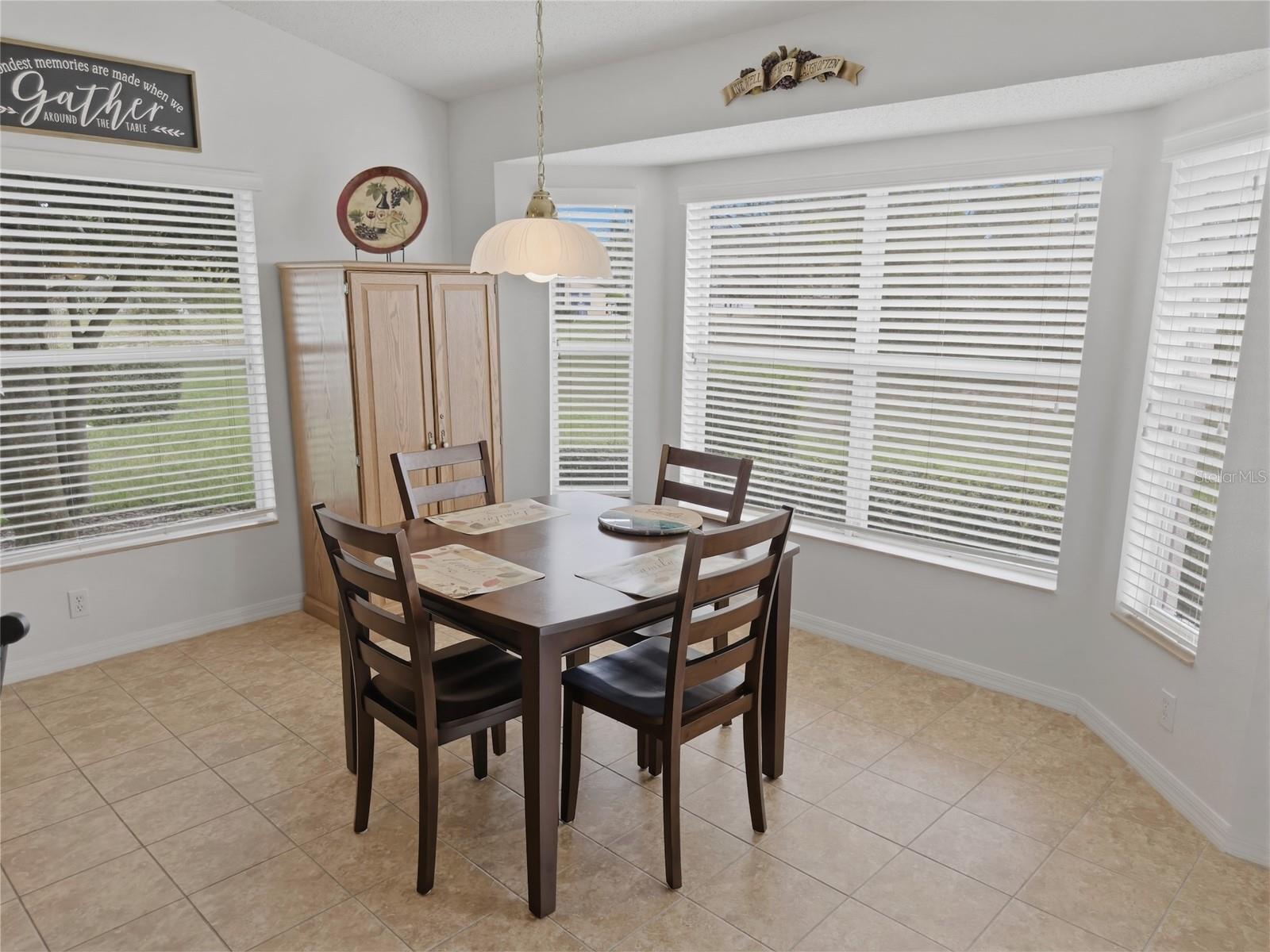 18708 BELLEVISTA CT, HUDSON, FL, 34667