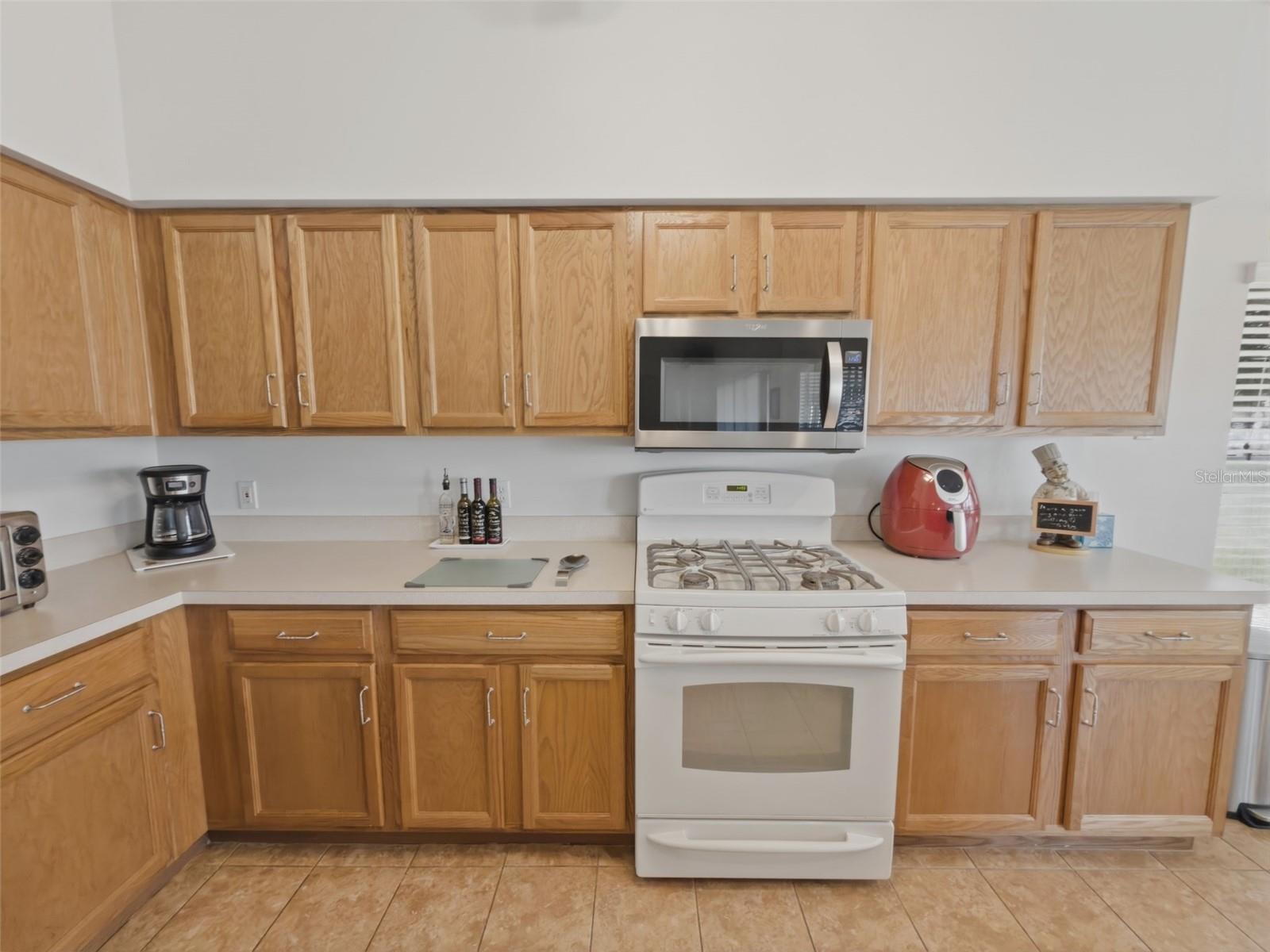 18708 BELLEVISTA CT, HUDSON, FL, 34667