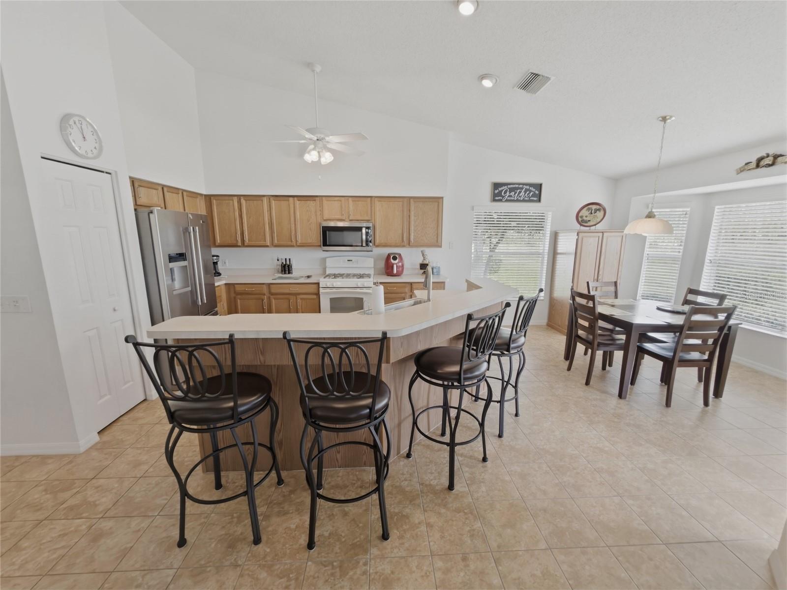 18708 BELLEVISTA CT, HUDSON, FL, 34667