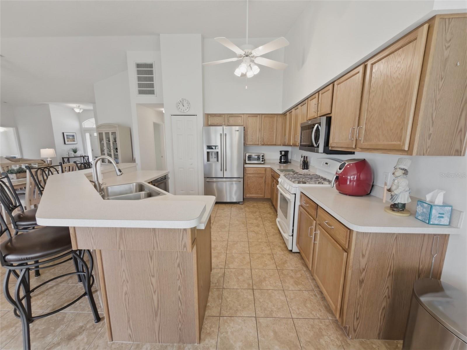 18708 BELLEVISTA CT, HUDSON, FL, 34667