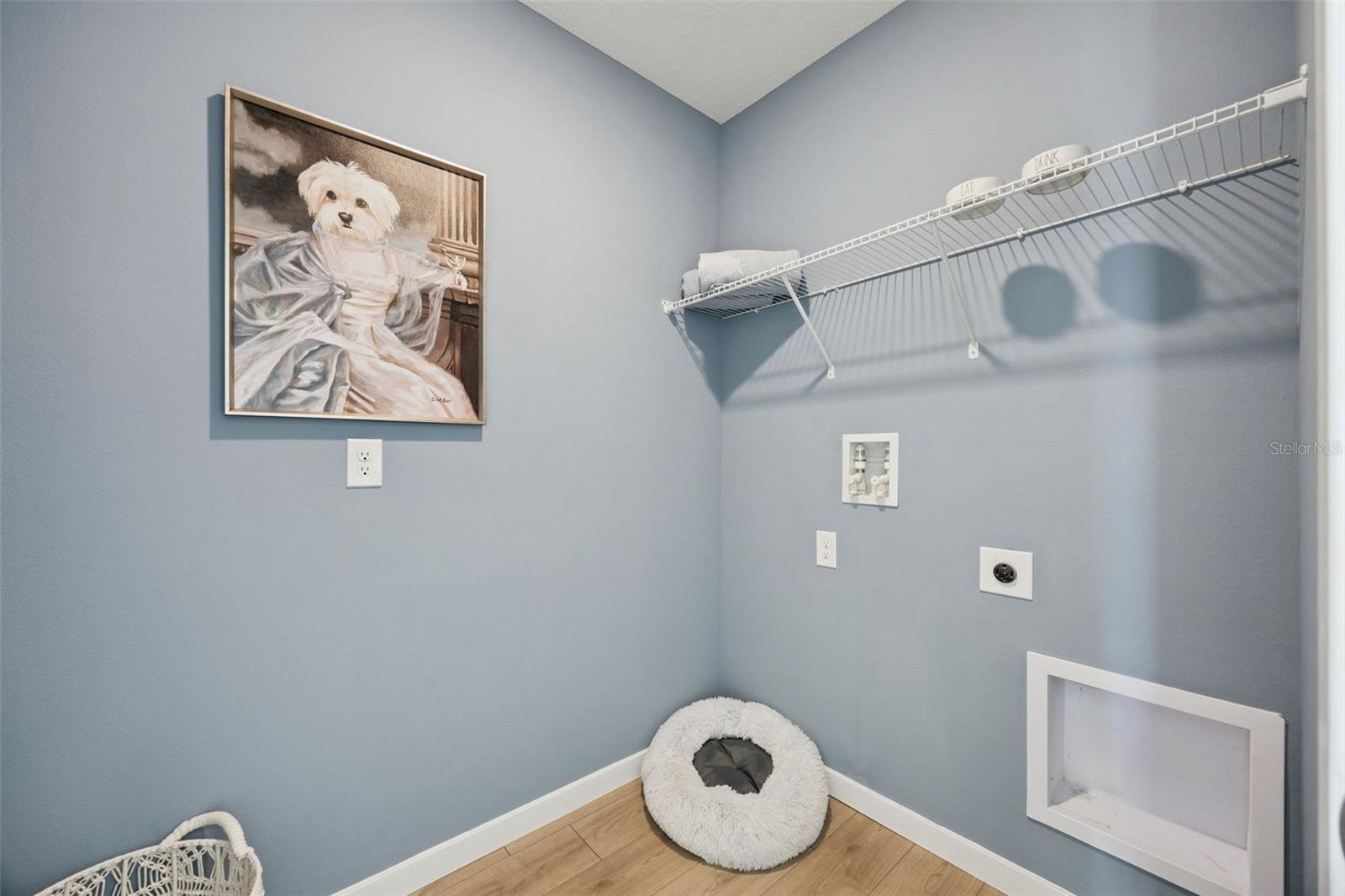 2307 ASHWOOD BLUFF DR, OCOEE, FL, 34761